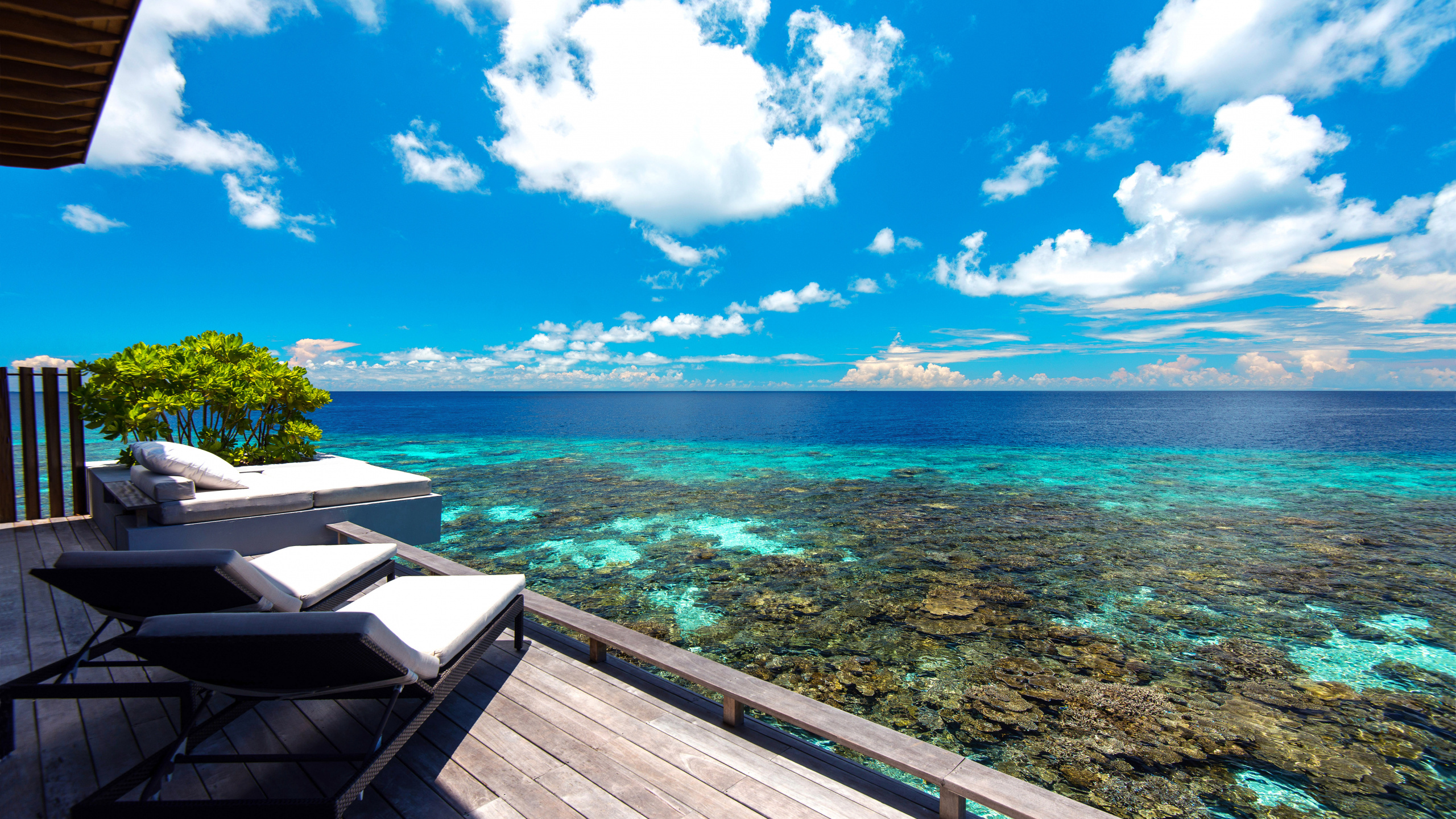 Обои море, Мальдивы, океан, туризм, тропическая зона в разрешении 2560x1440