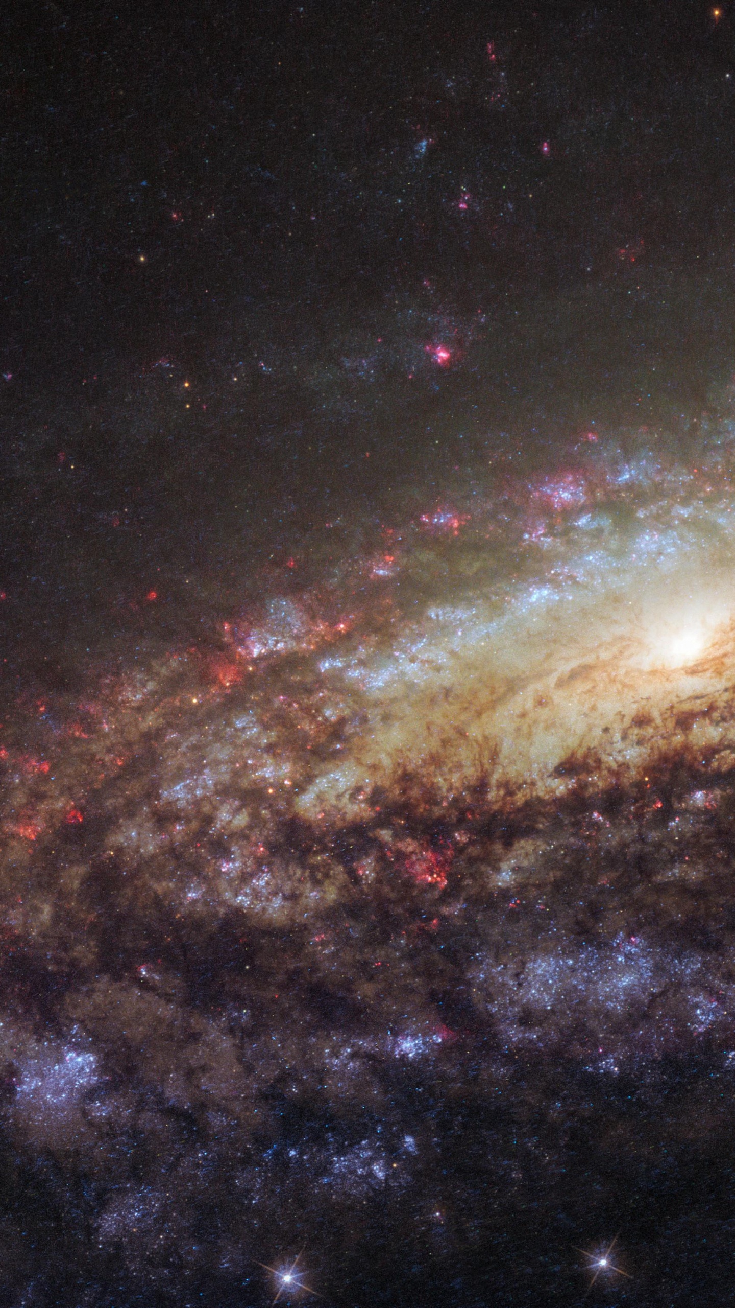 Обои Галактика, космический телескоп Хаббл, спиральная Галактика, Млечный Путь, Или NGC 7331 в разрешении 1440x2560