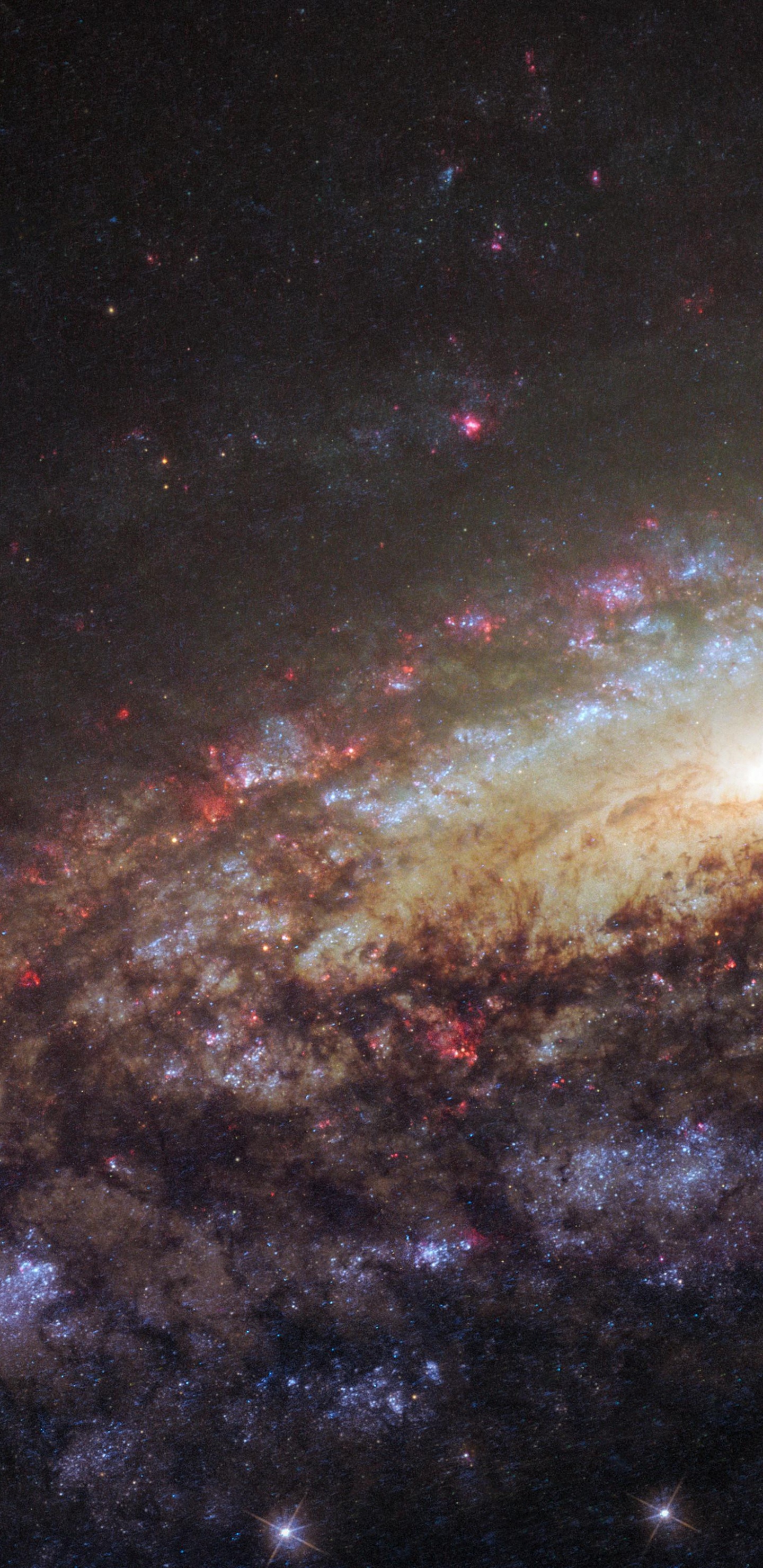 Обои Галактика, космический телескоп Хаббл, спиральная Галактика, Млечный Путь, Или NGC 7331 в разрешении 1440x2960