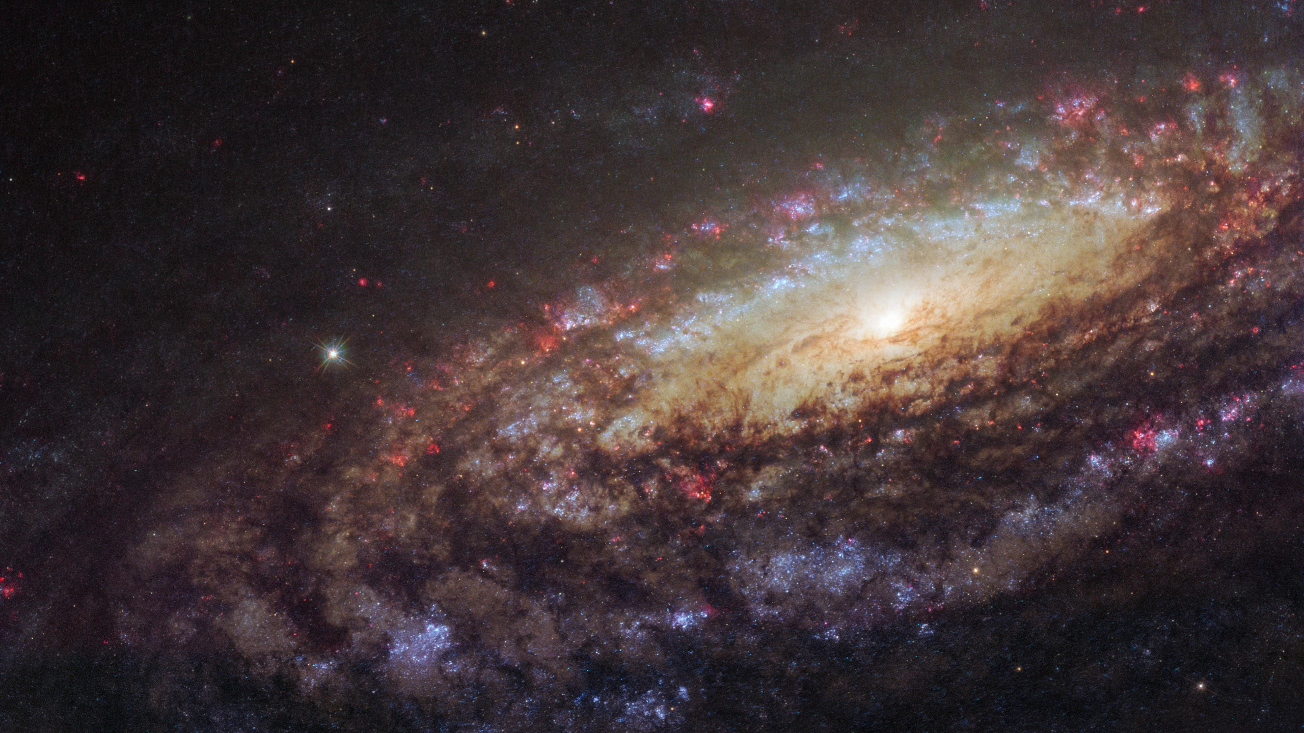 Обои Галактика, космический телескоп Хаббл, спиральная Галактика, Млечный Путь, Или NGC 7331 в разрешении 2560x1440