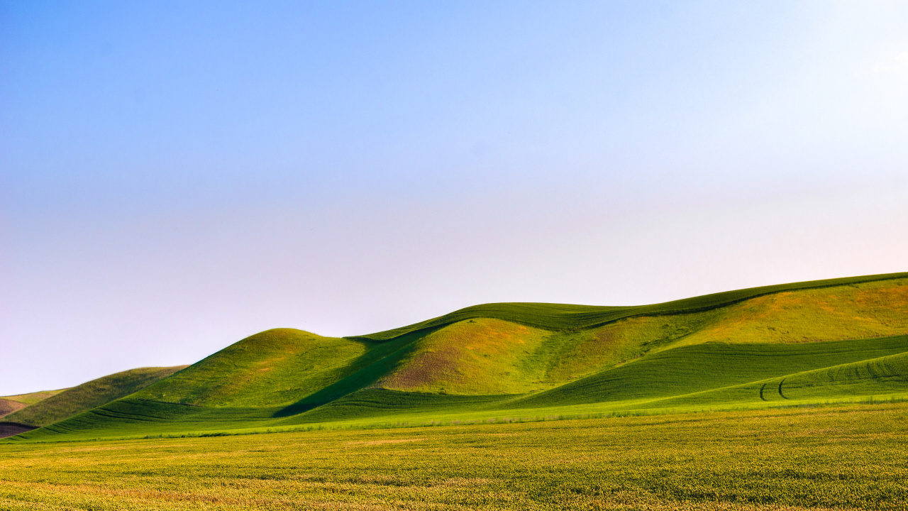 Обои зеленые дюны, растение, гора, природный ландшафт, склон в разрешении 1280x720