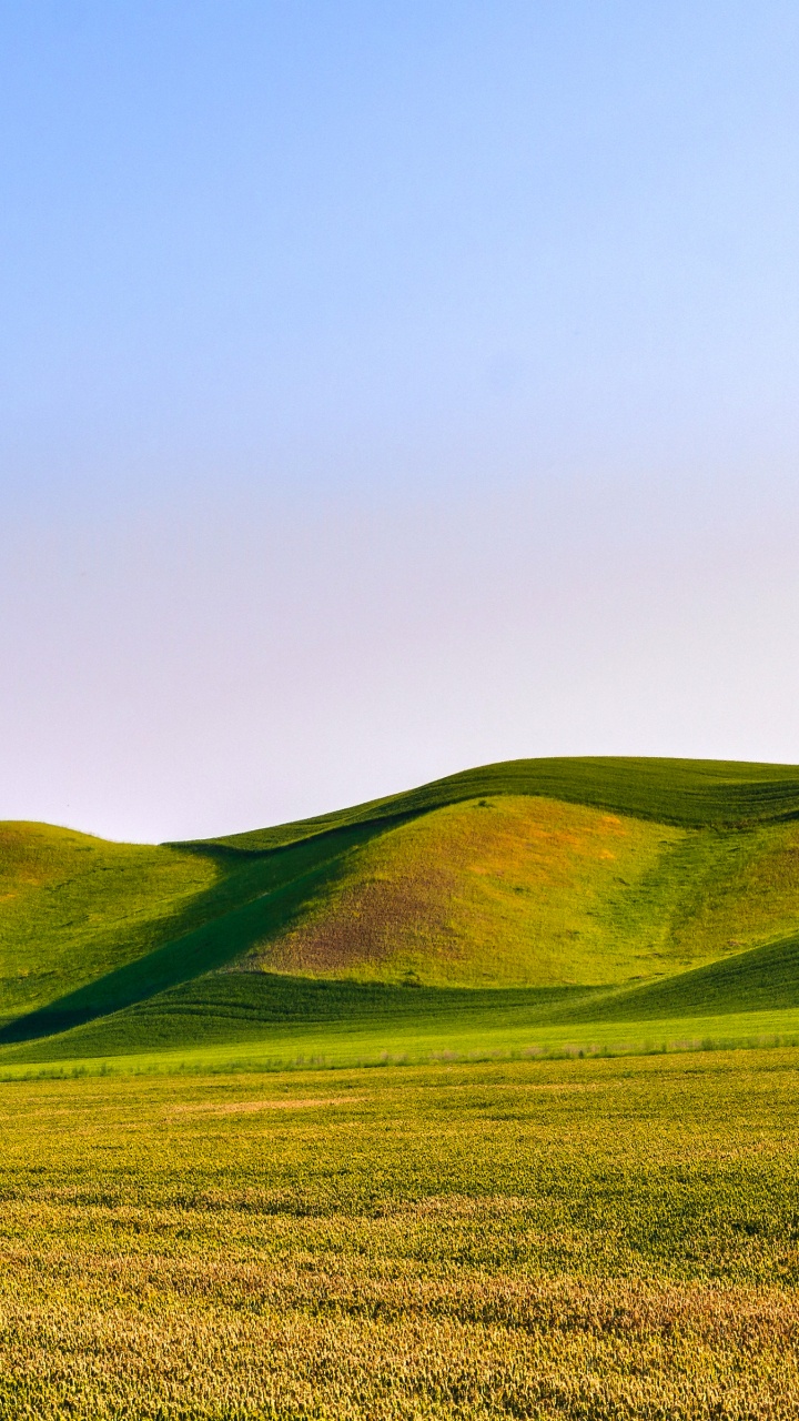 Обои зеленые дюны, растение, гора, природный ландшафт, склон в разрешении 720x1280