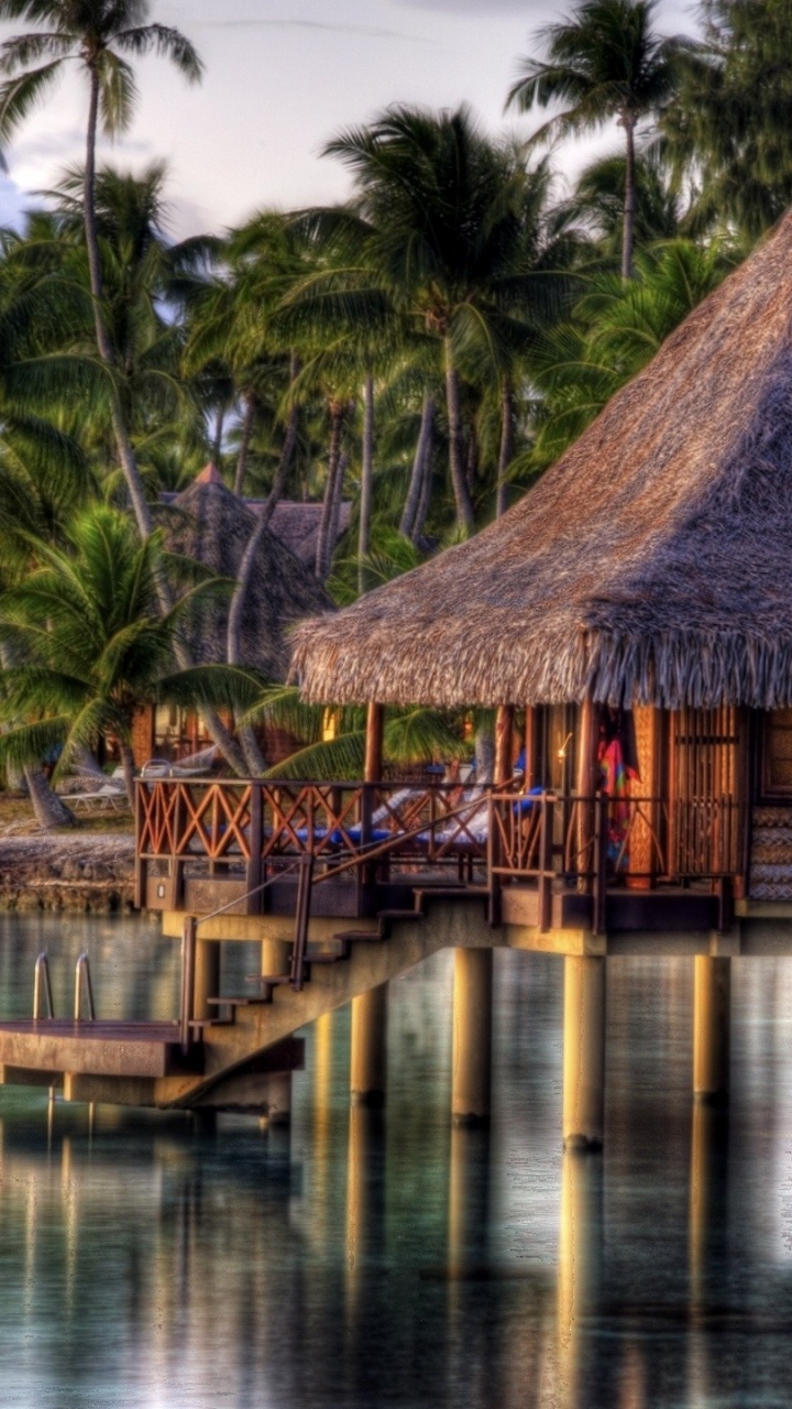 Обои прибежище, отпуск, пляж, бунгало, Пальма в разрешении 720x1280