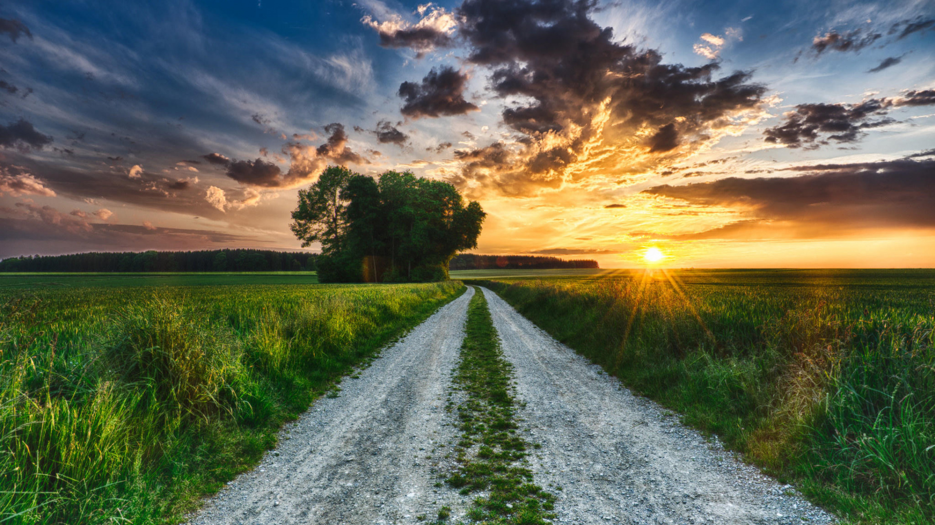 Обои утро, луг, вечер, природа, горизонт в разрешении 1920x1080