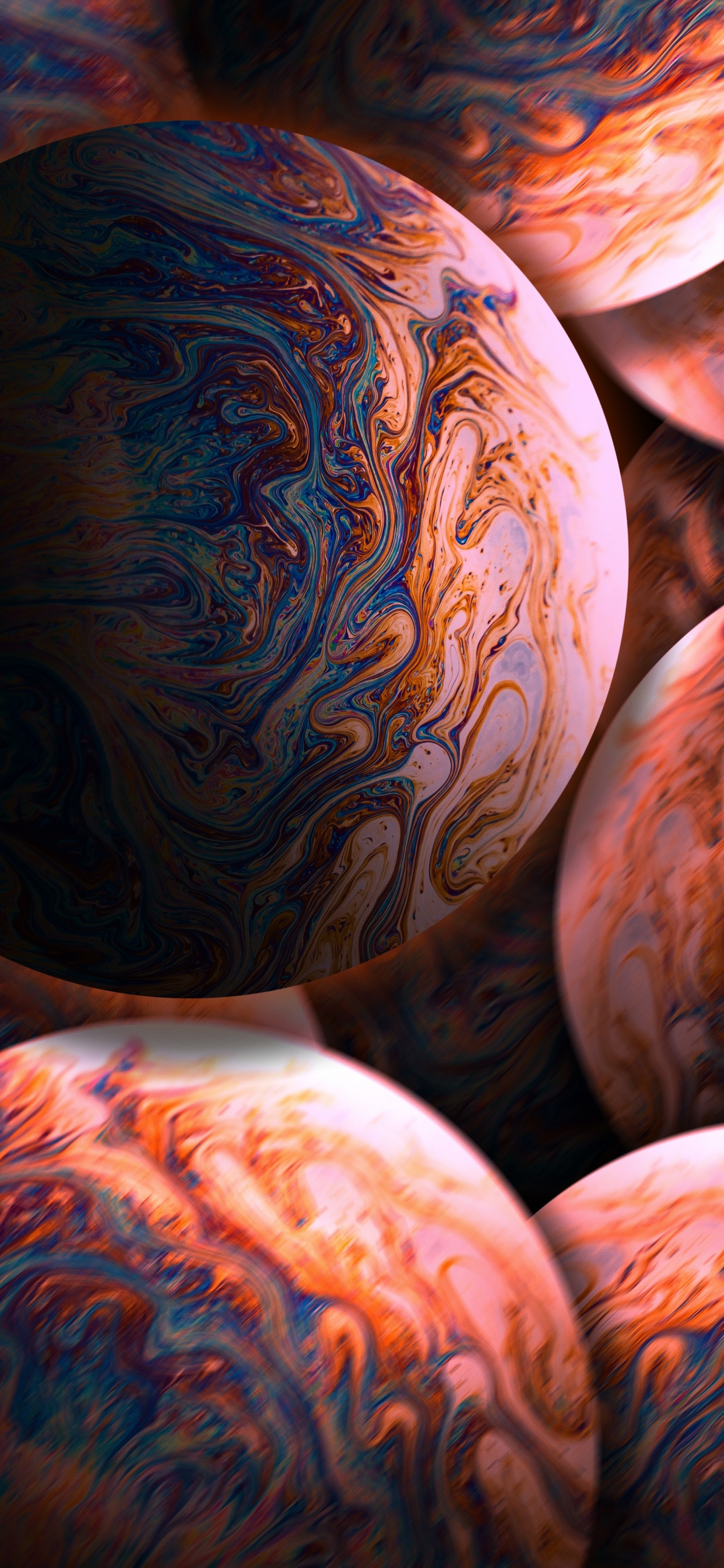 Обои крупный план, тыква, кабачок, Оранжевый цвет, мир в разрешении 1242x2688