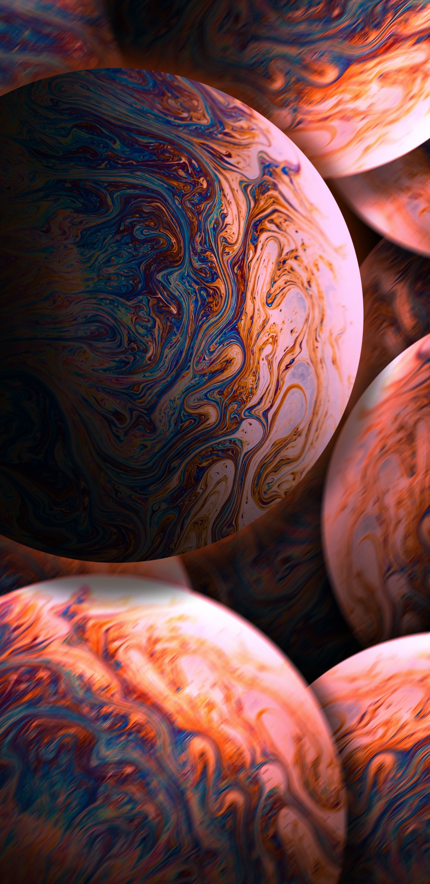 Обои крупный план, тыква, кабачок, Оранжевый цвет, мир в разрешении 1440x2960