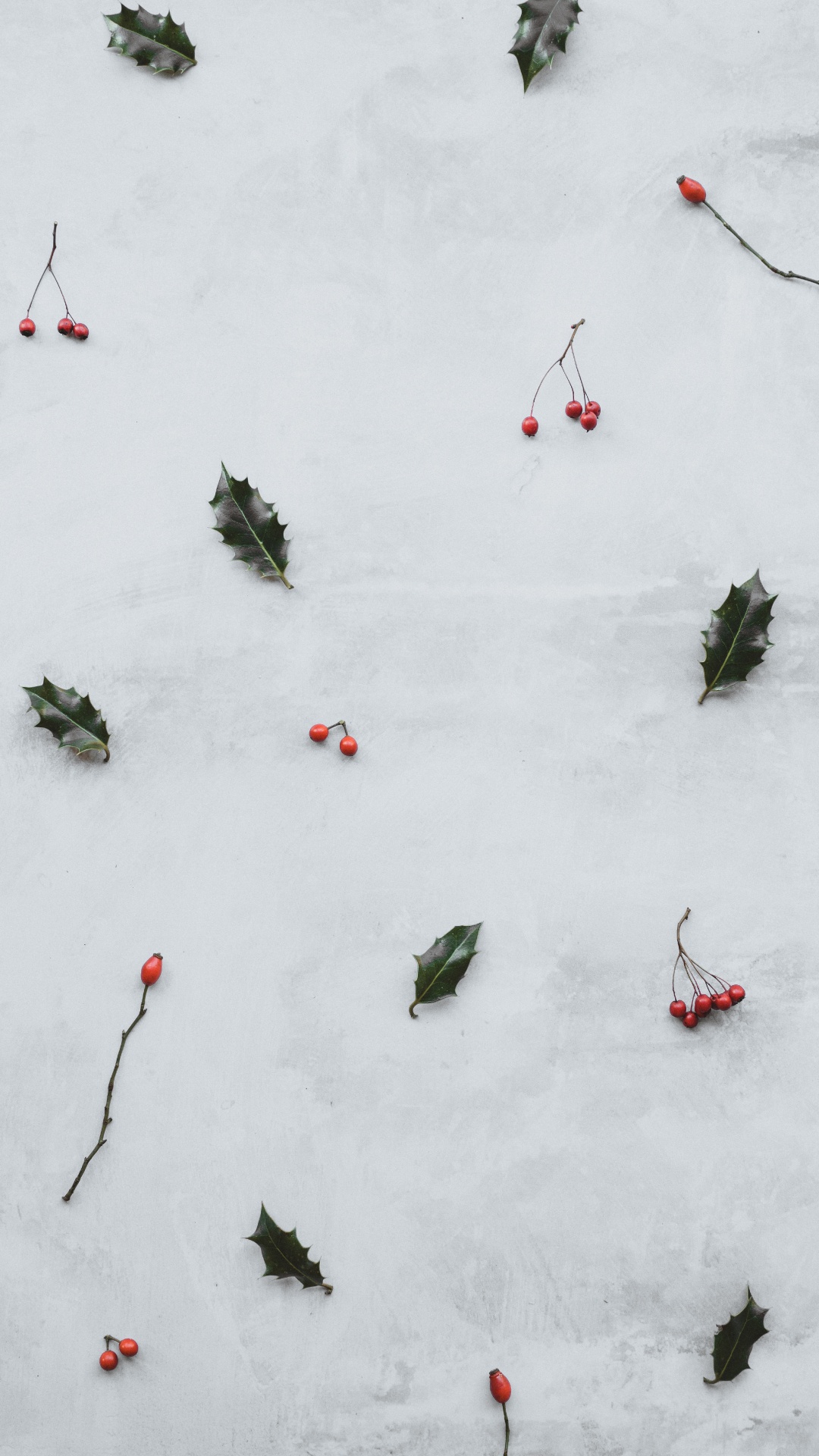 Обои снег, зима, растение, отдых, графика в разрешении 1080x1920