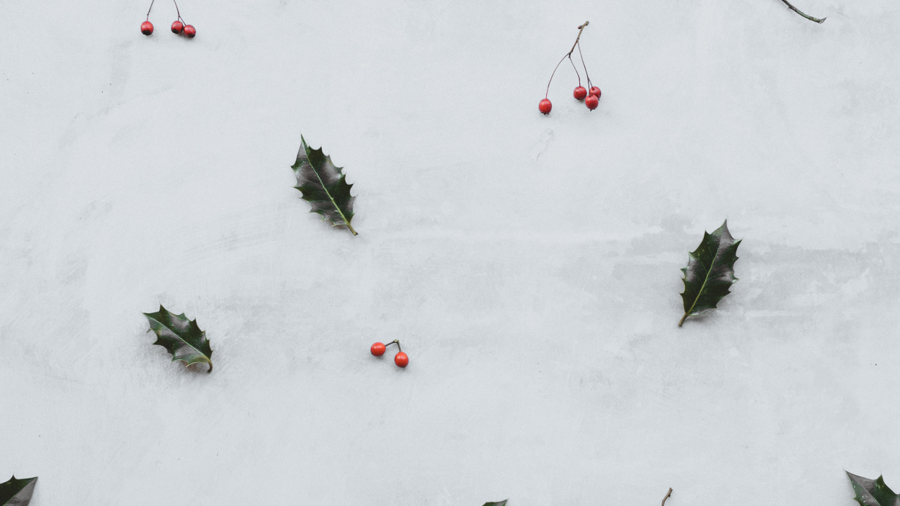 Обои снег, зима, растение, отдых, графика в разрешении 1280x720