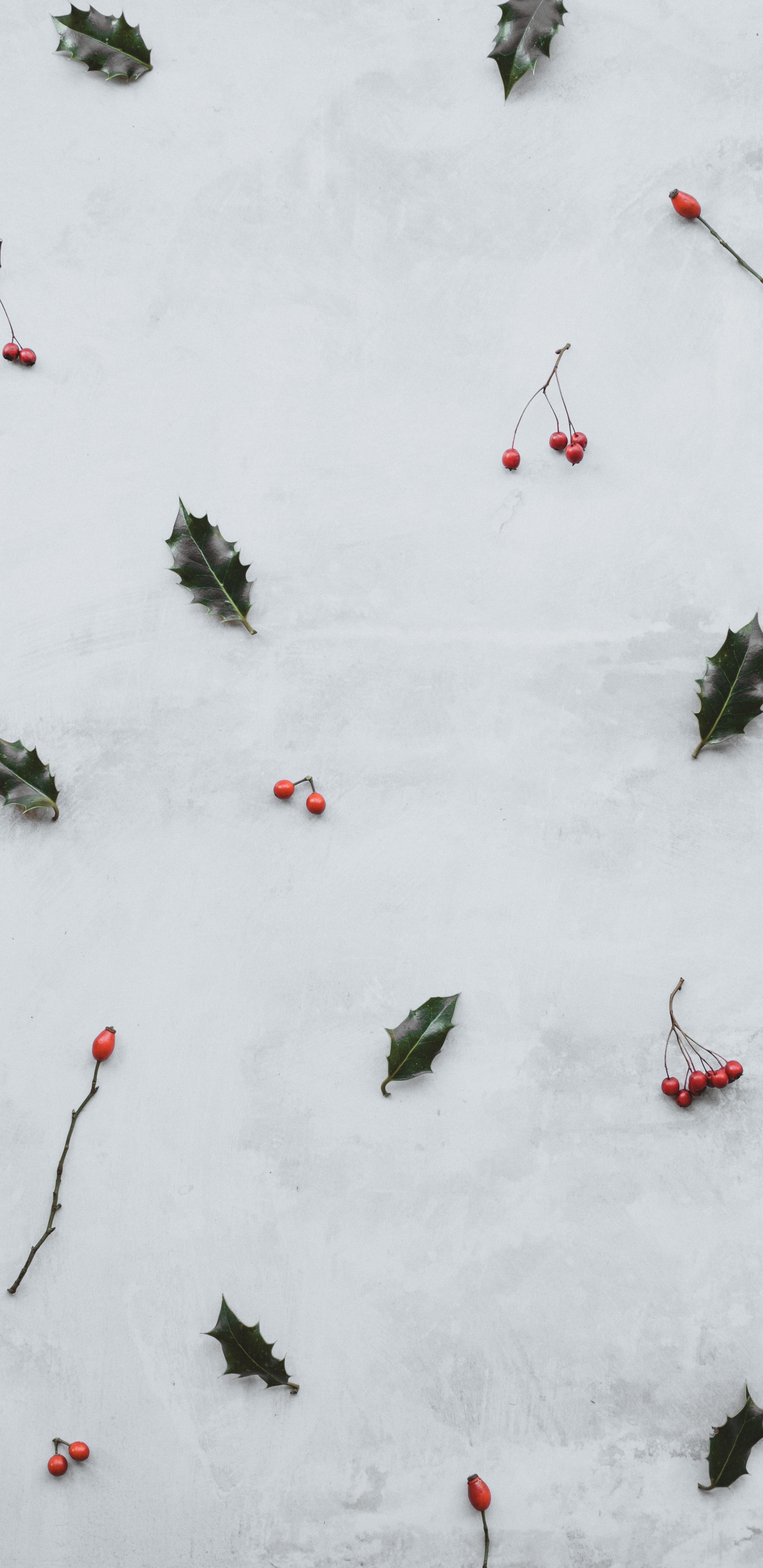 Обои снег, зима, растение, отдых, графика в разрешении 1440x2960