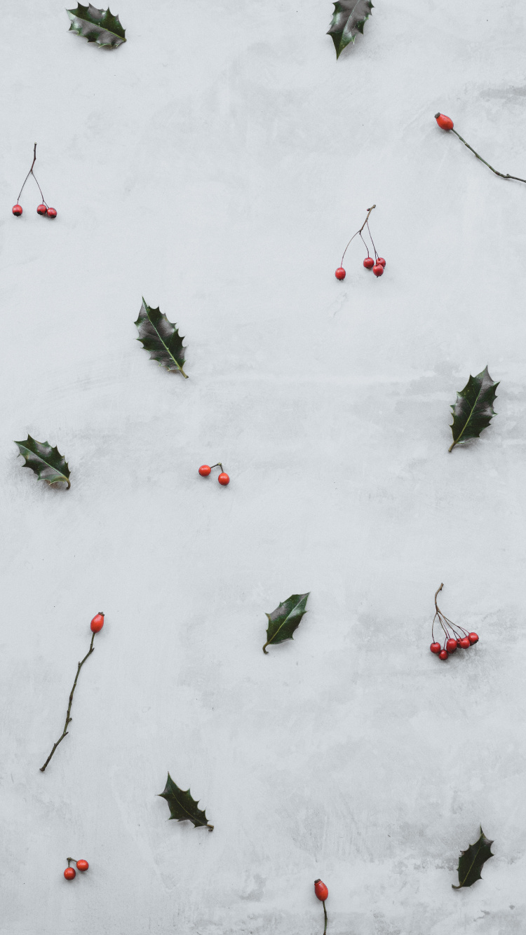 Обои снег, зима, растение, отдых, графика в разрешении 750x1334