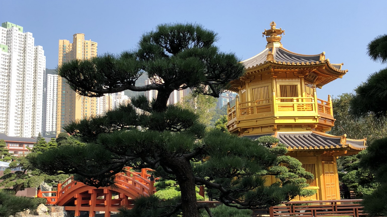 Обои Гонконг, природа, Ботанический сад, достопримечательность, наука в разрешении 1280x720
