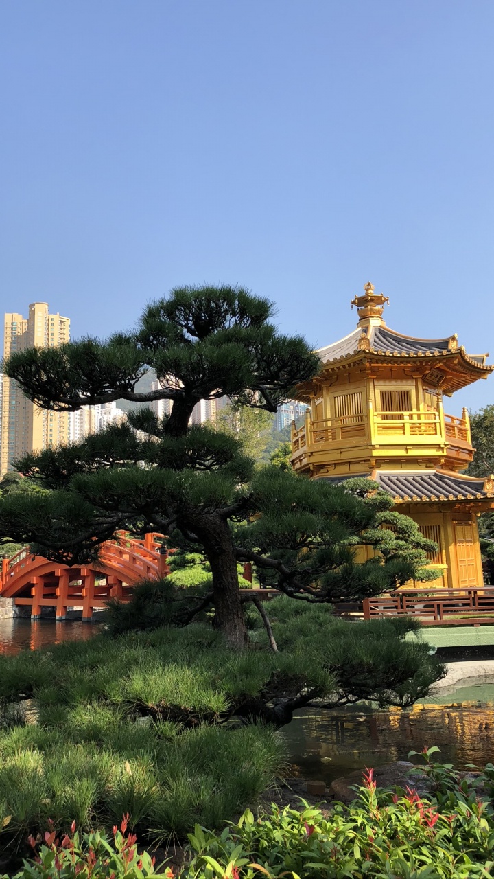 Обои Гонконг, природа, Ботанический сад, достопримечательность, наука в разрешении 720x1280