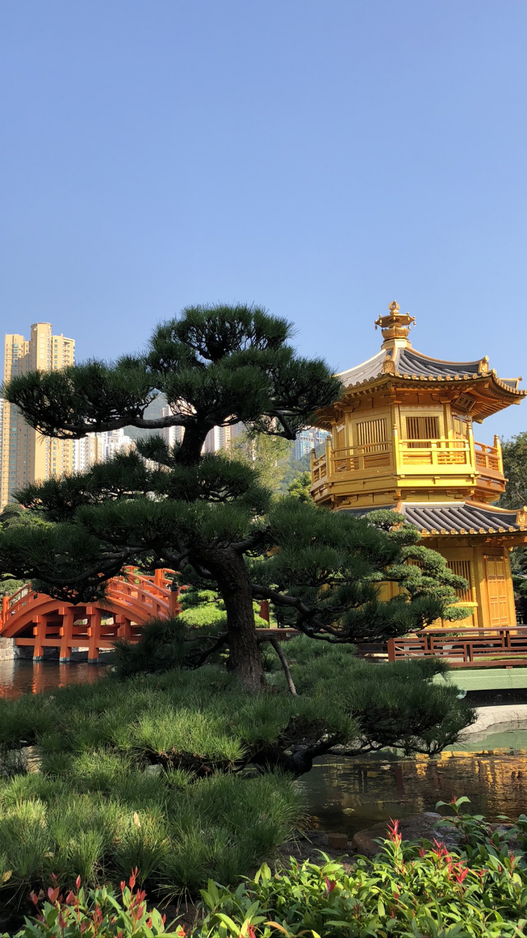 Обои Гонконг, природа, Ботанический сад, достопримечательность, наука в разрешении 750x1334
