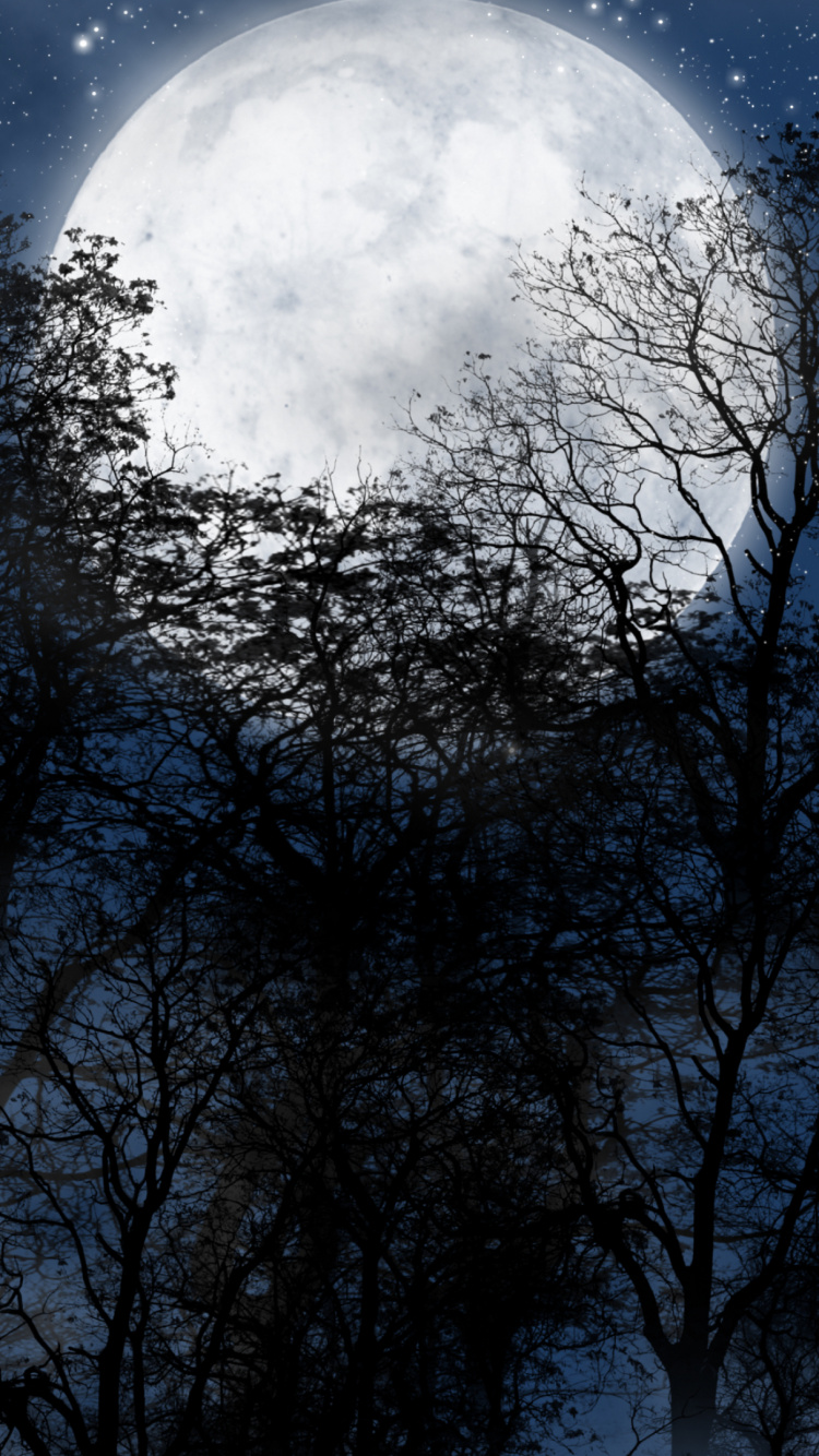 Обои луна, лунный свет, природа, дерево, астрономический объект в разрешении 750x1334