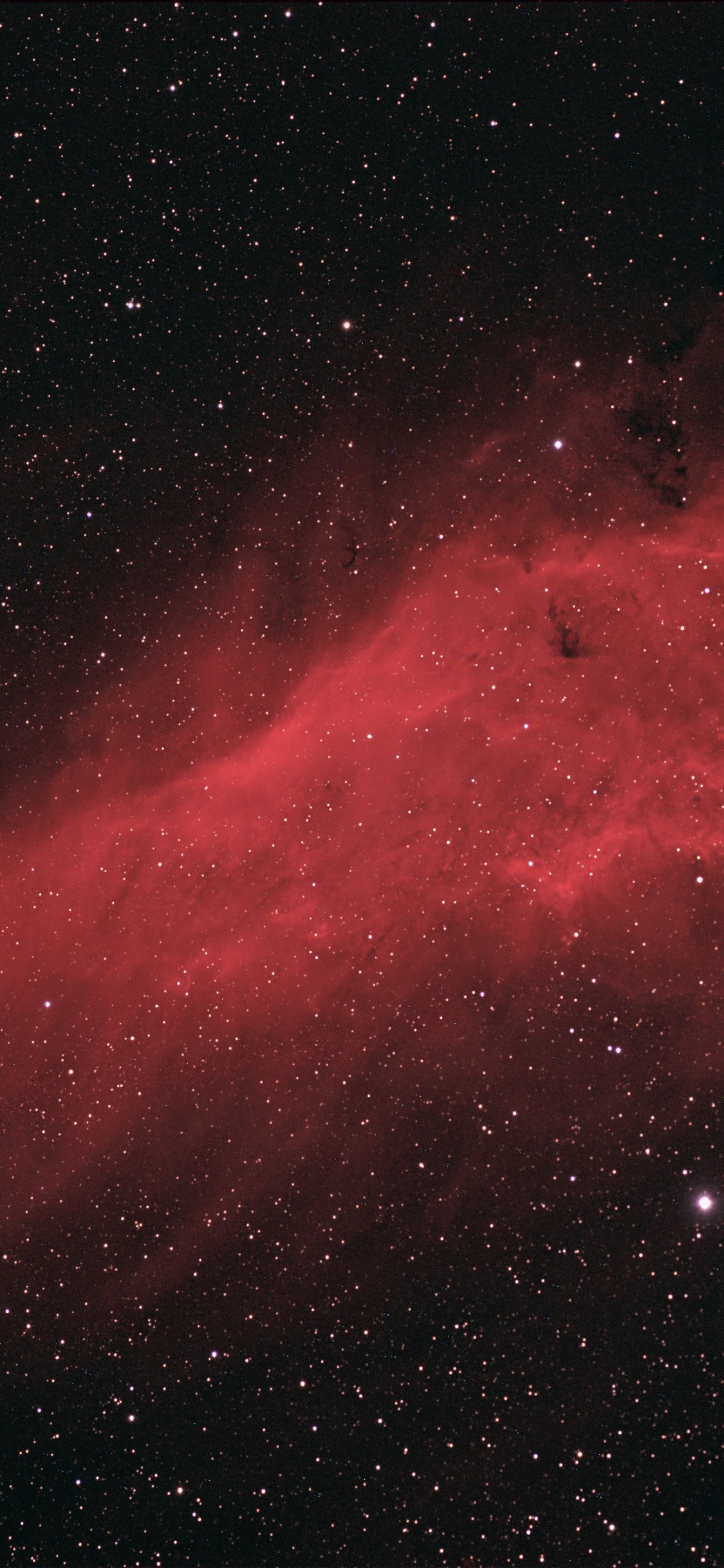 Обои туманность, Астрономия, Туманность Калифорния, астрофотография, черный в разрешении 1125x2436