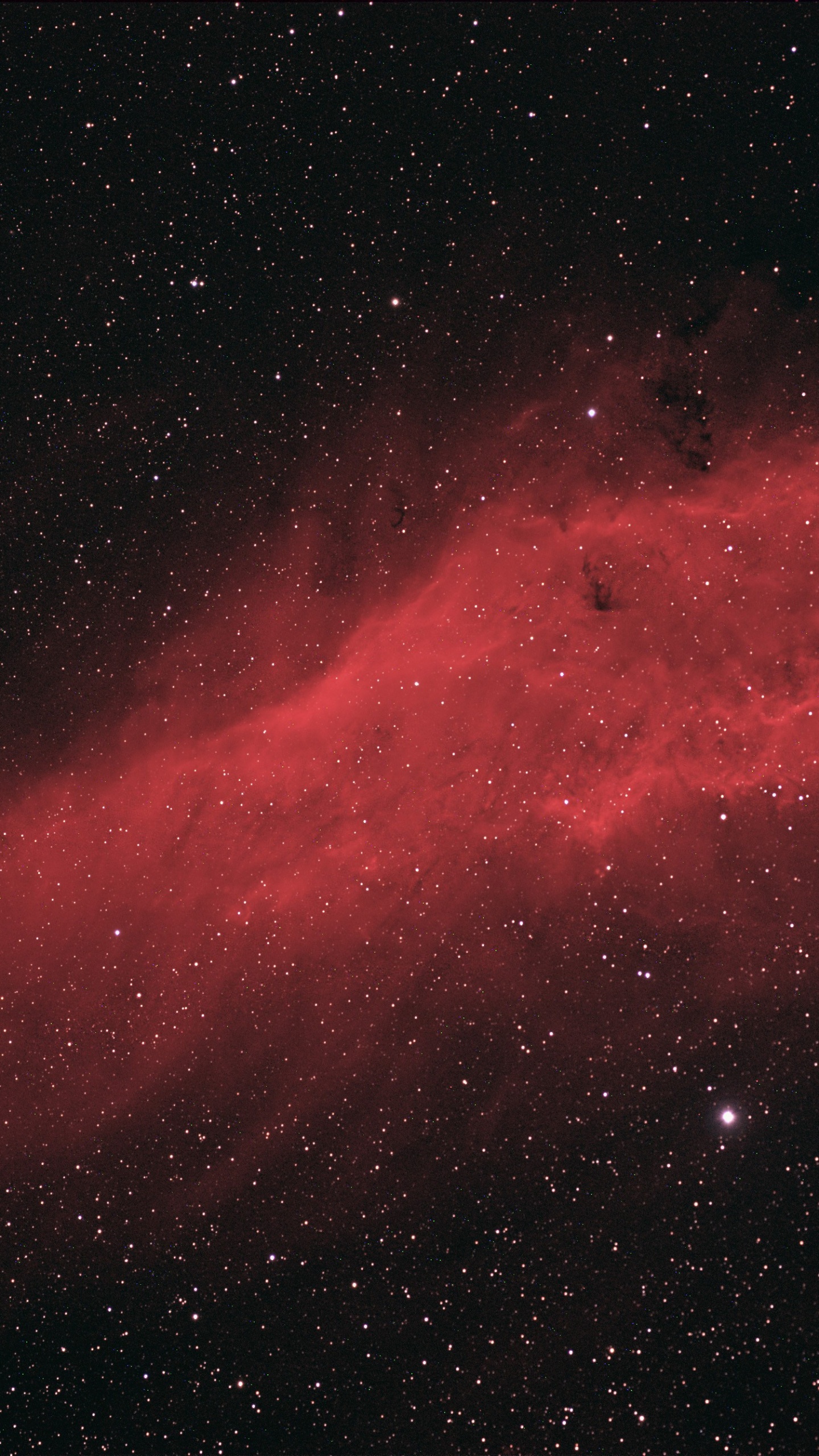 Обои туманность, Астрономия, Туманность Калифорния, астрофотография, черный в разрешении 1440x2560