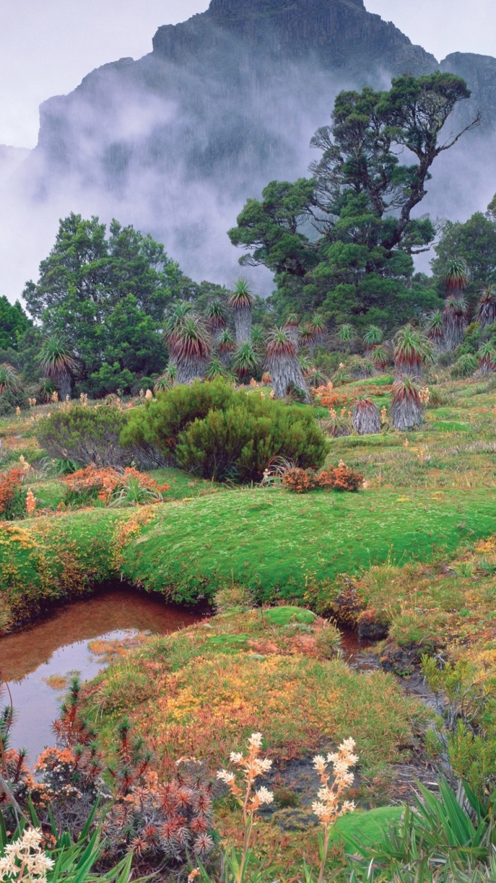 Обои природа, растительность, дикая местность, Ботанический сад, гора в разрешении 720x1280