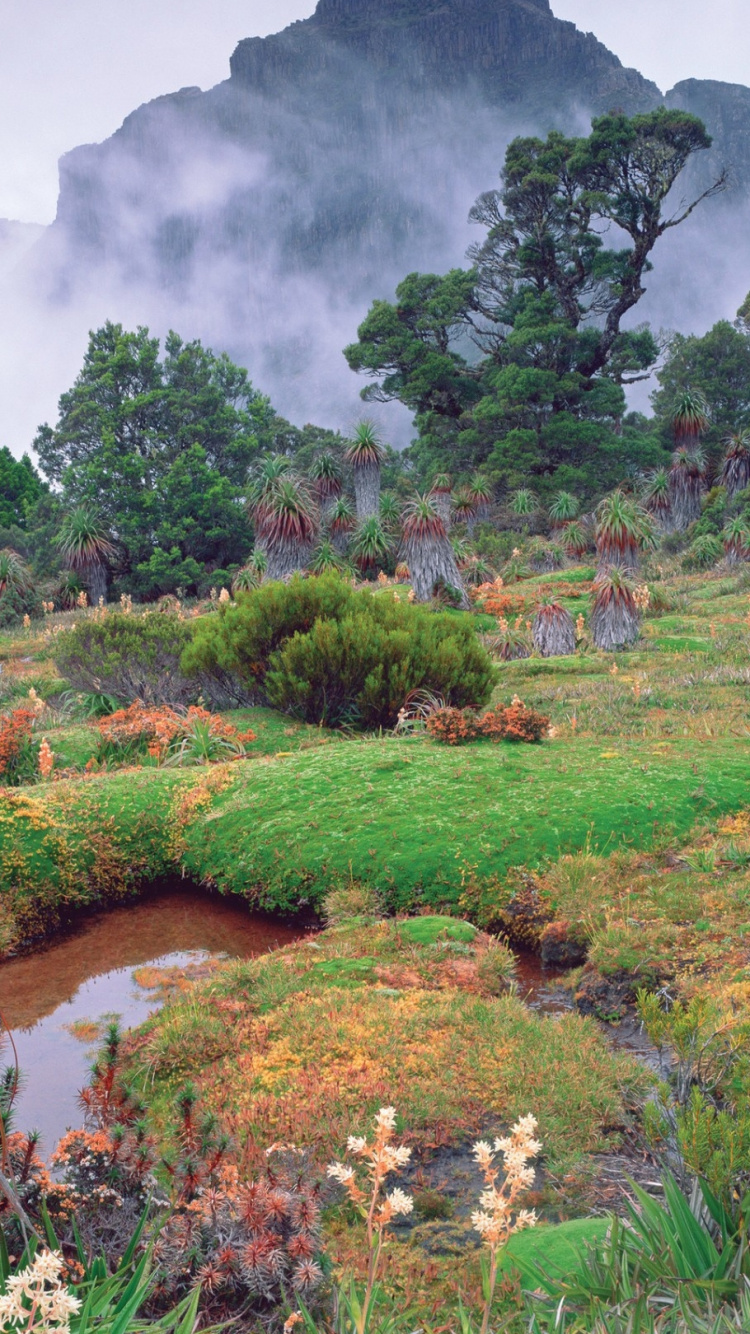 Обои природа, растительность, дикая местность, Ботанический сад, гора в разрешении 750x1334
