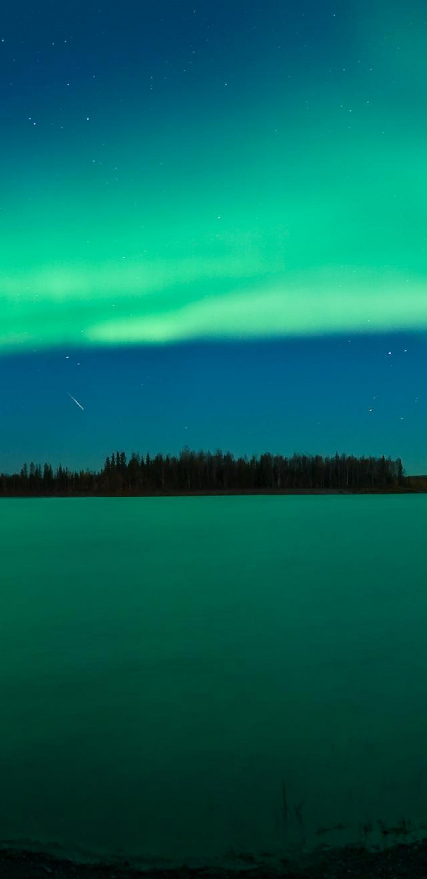 Обои Аврора, природа, зеленый, синий, горизонт в разрешении 1440x2960