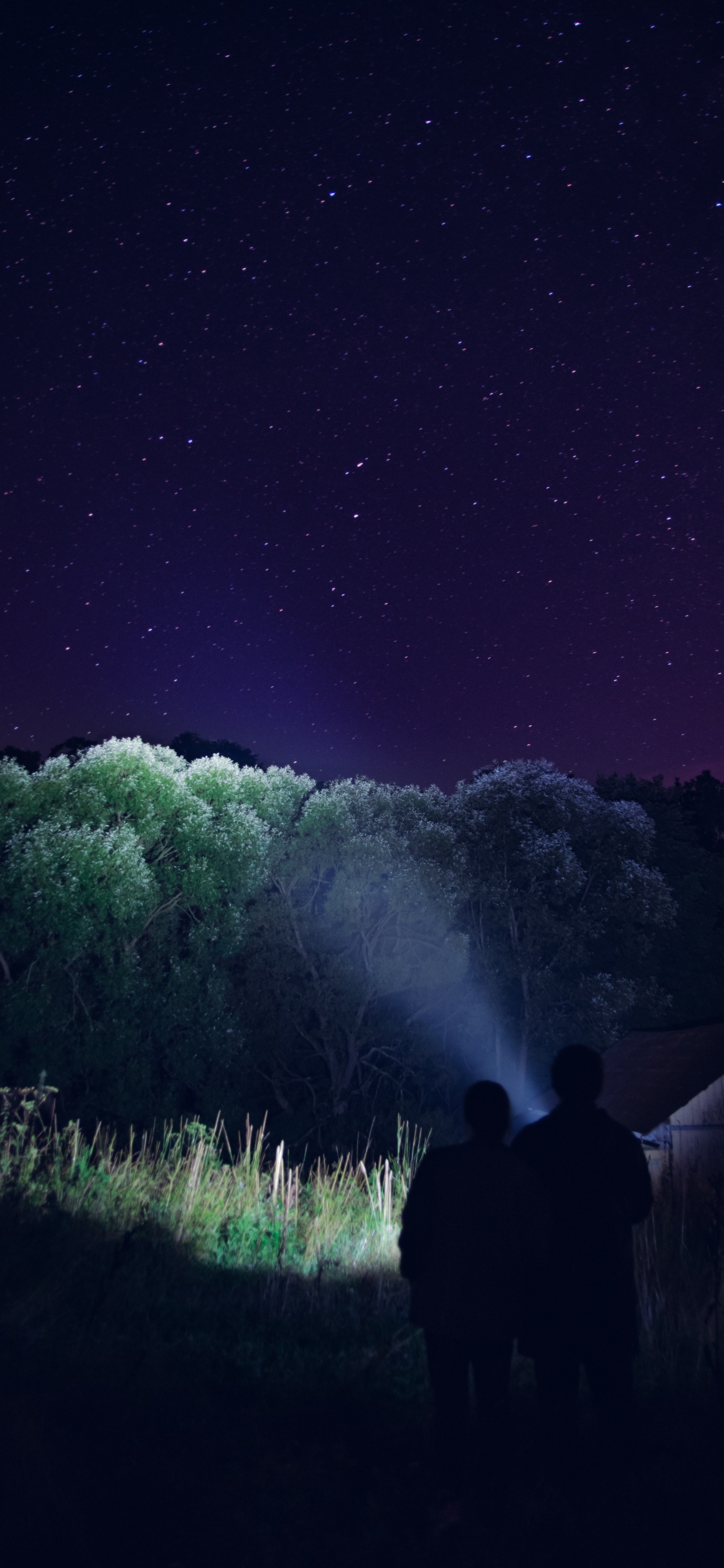 Обои ночь, свет, Аврора, атмосфера, темнота в разрешении 1242x2688