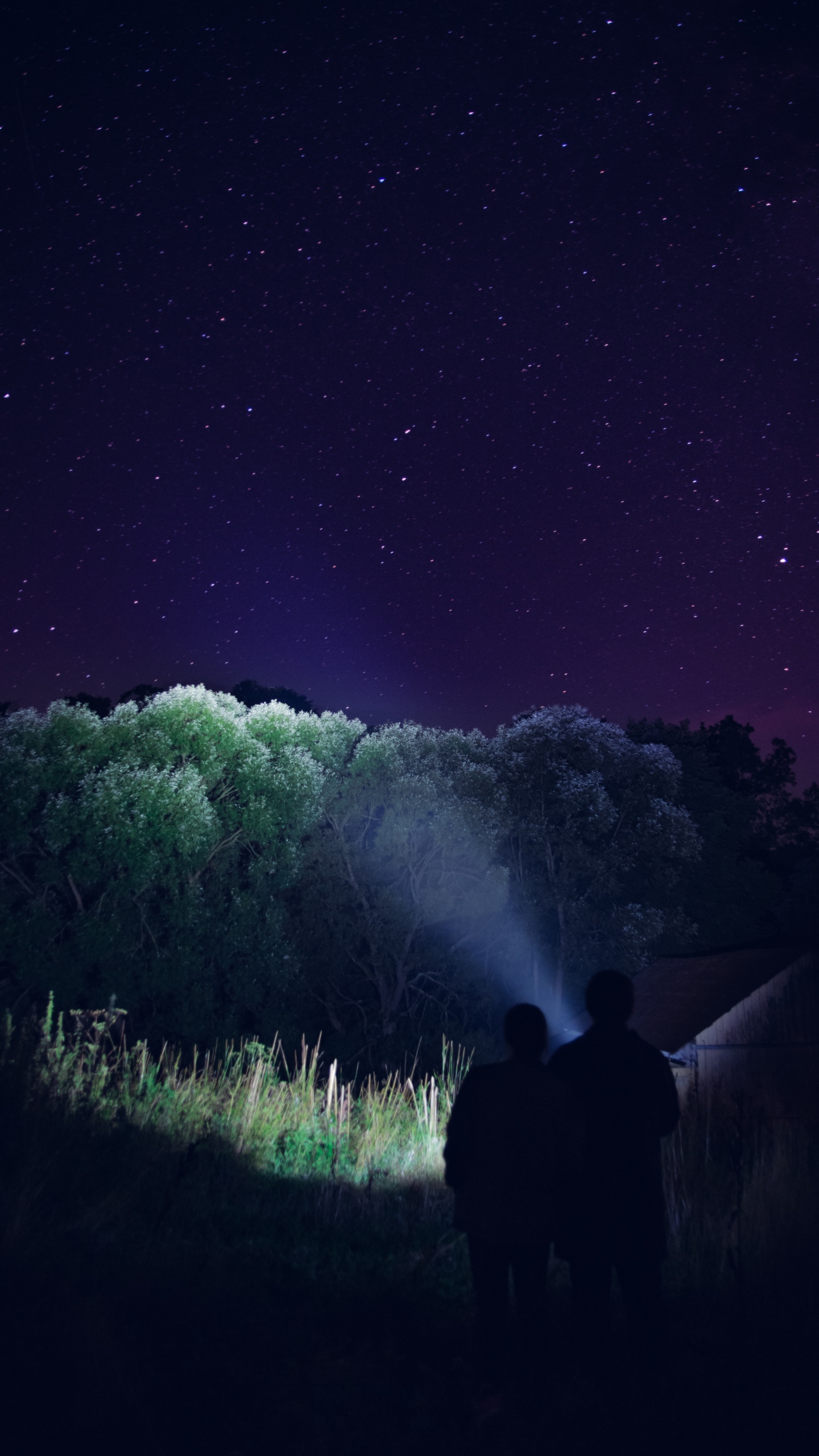 Обои ночь, свет, Аврора, атмосфера, темнота в разрешении 1440x2560