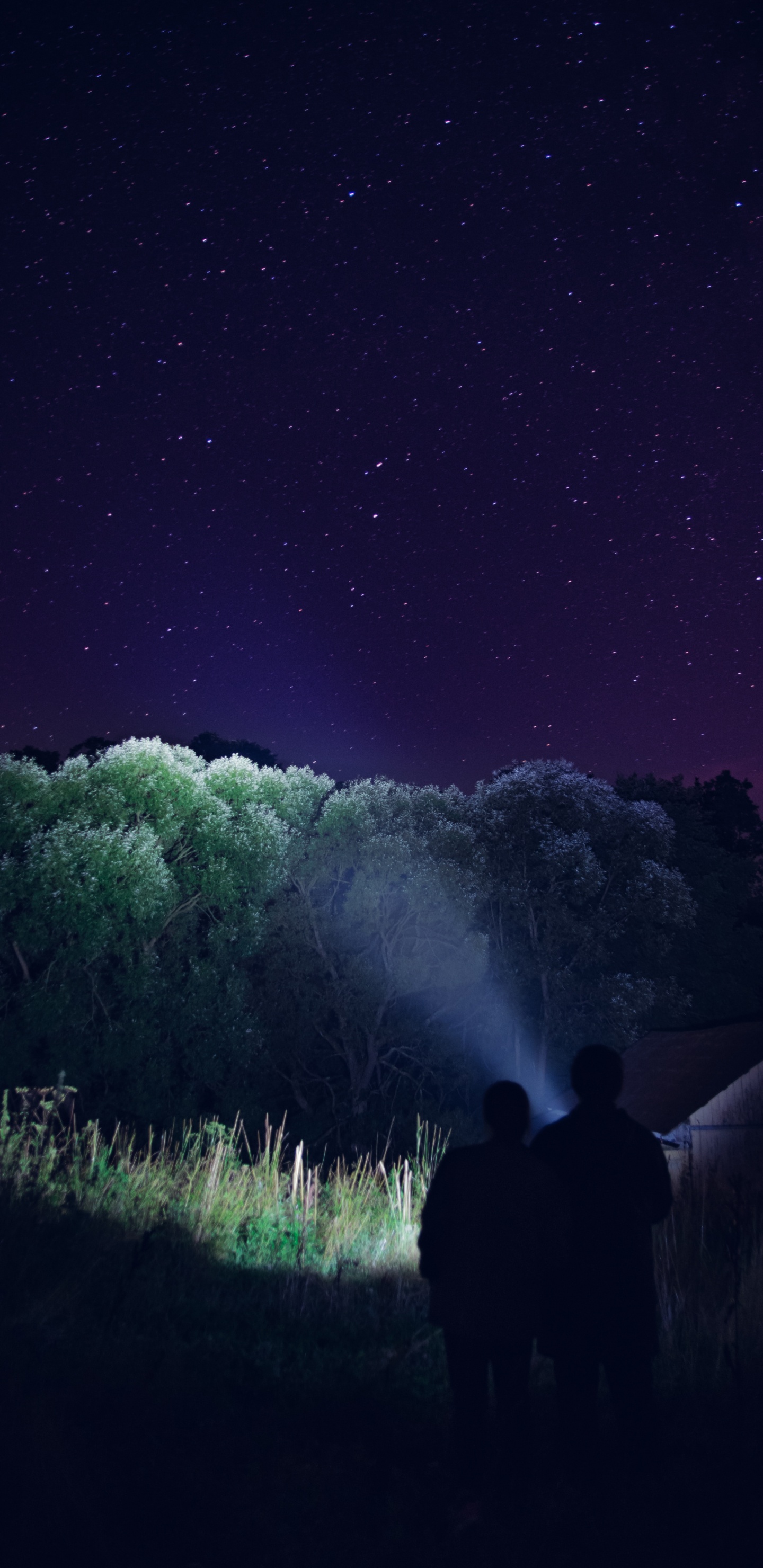 Обои ночь, свет, Аврора, атмосфера, темнота в разрешении 1440x2960