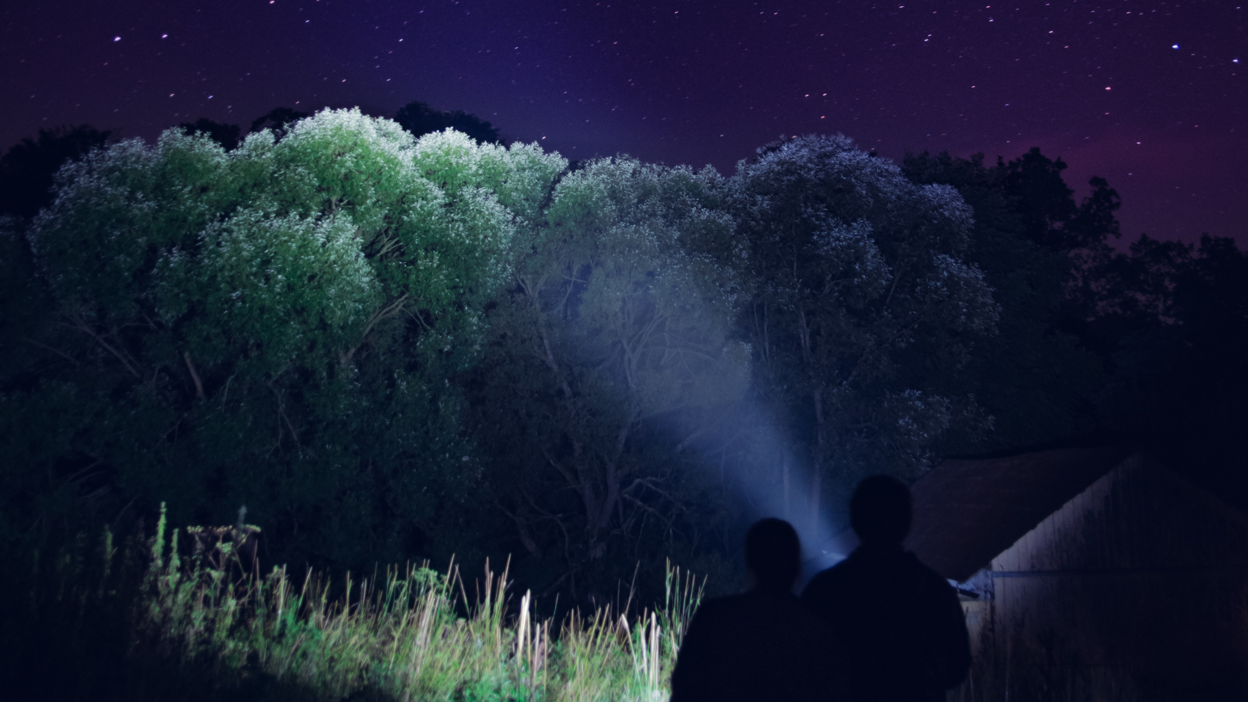 Обои ночь, свет, Аврора, атмосфера, темнота в разрешении 2560x1440