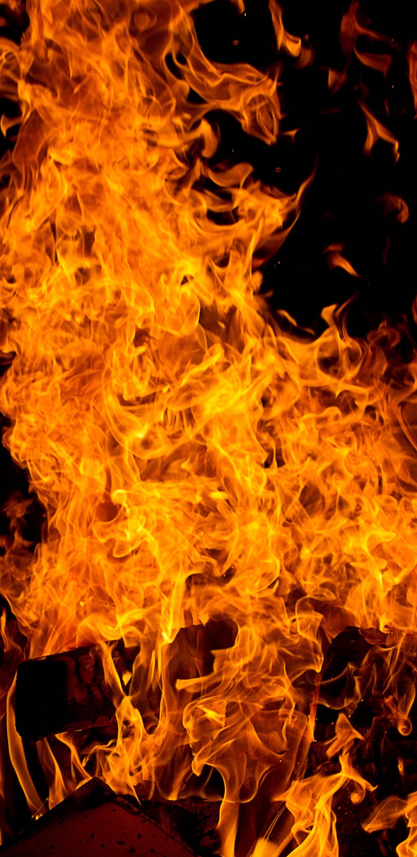 Обои огонь, большой пожар, пламя, тепло, сгорание в разрешении 1440x2960