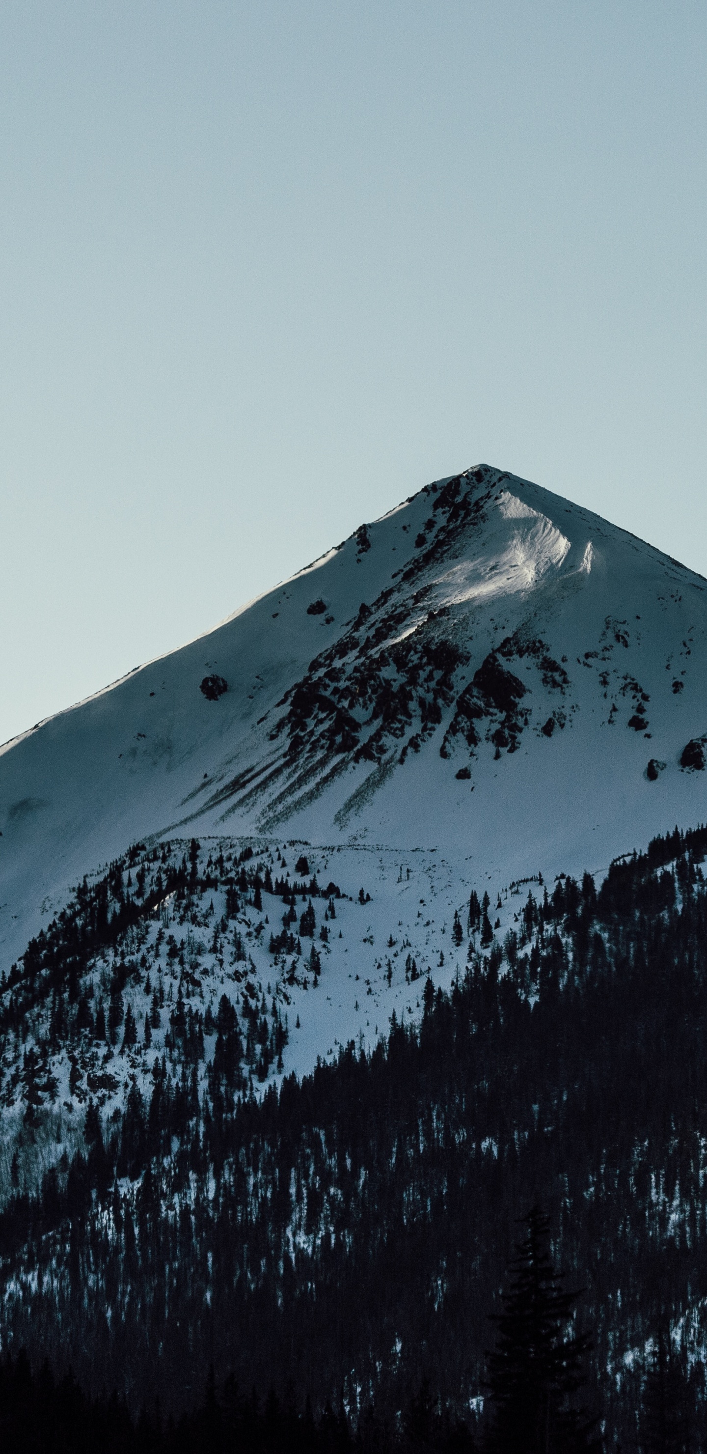 Обои горный рельеф, гора, нагорье, снег, Упал в разрешении 1440x2960