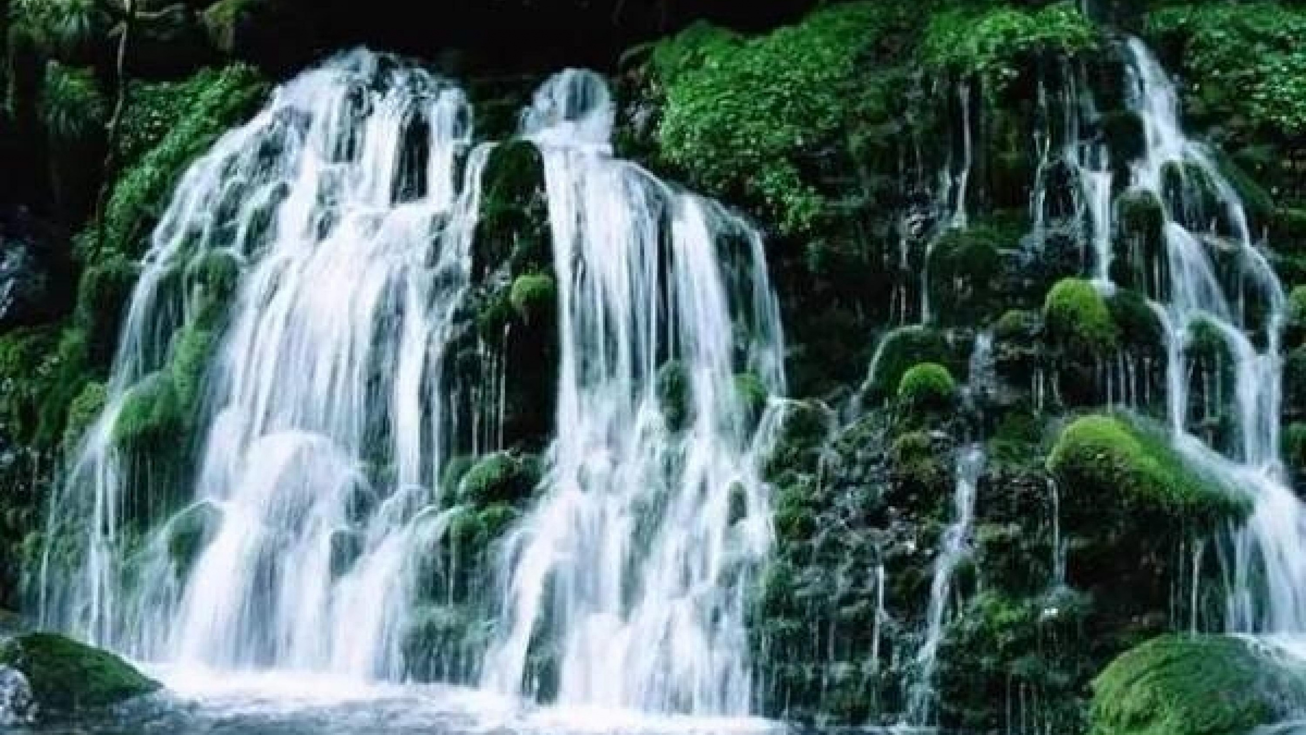 Обои водопад, гидроресурсы, водоем, природа, природный заповедник в разрешении 2560x1440