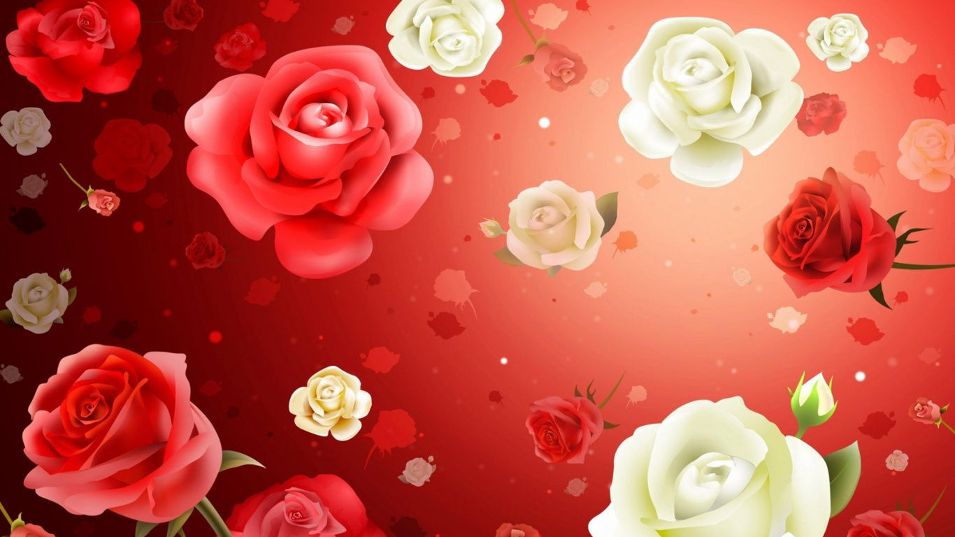 Обои Роза, цветок, красный цвет, сад роз, лепесток в разрешении 1366x768