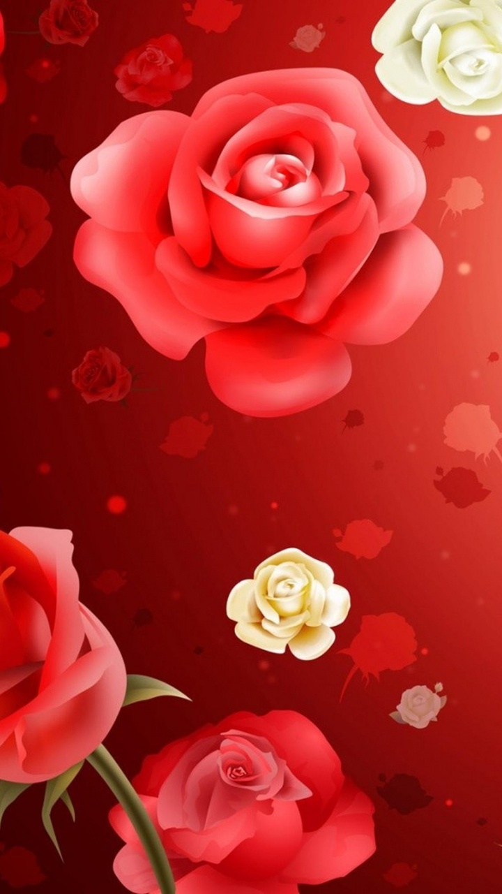 Обои Роза, цветок, красный цвет, сад роз, лепесток в разрешении 720x1280