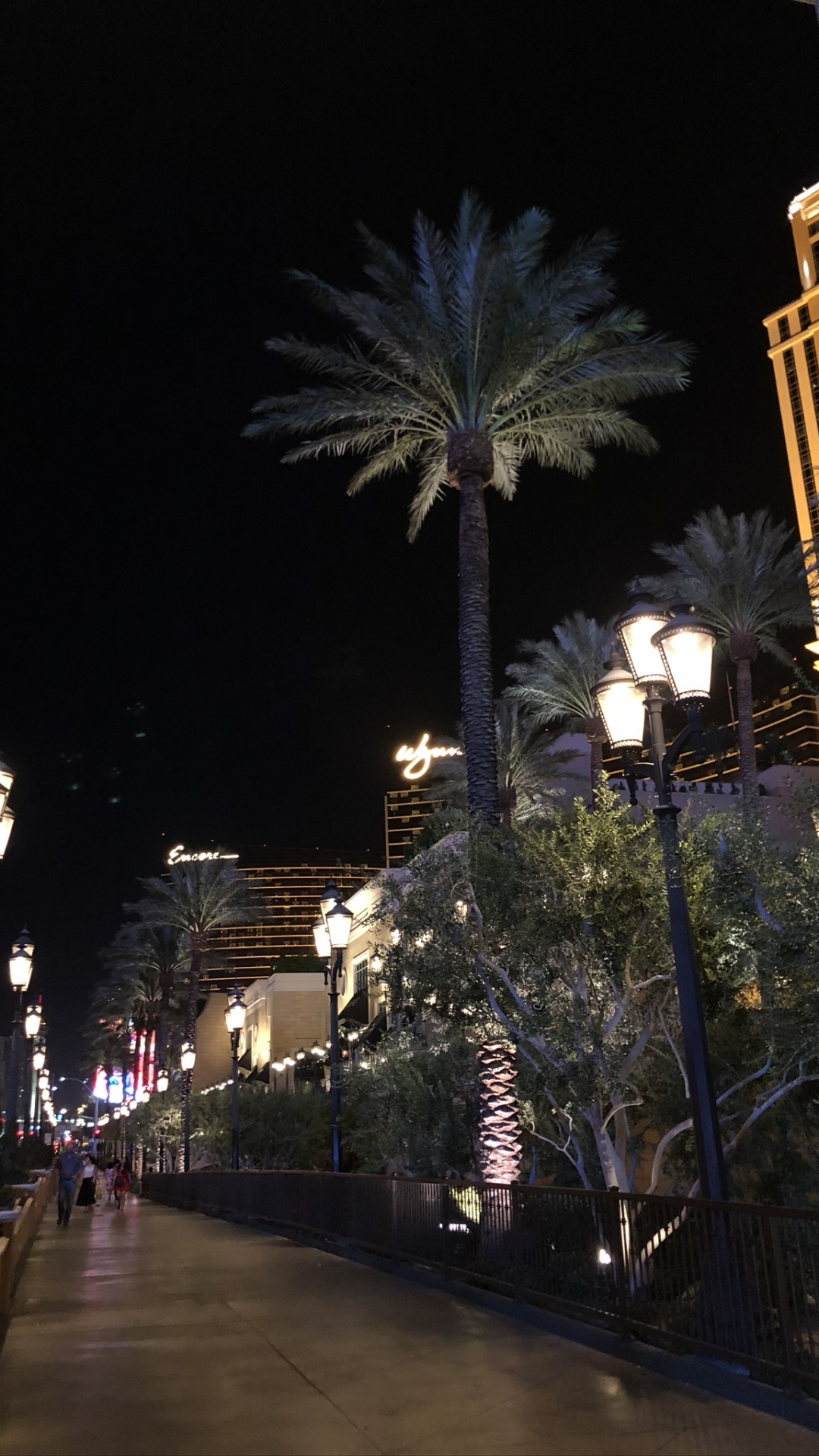 Обои Лас Вегас, США, ночь, дорожное покрытие, уличный фонарь в разрешении 1080x1920