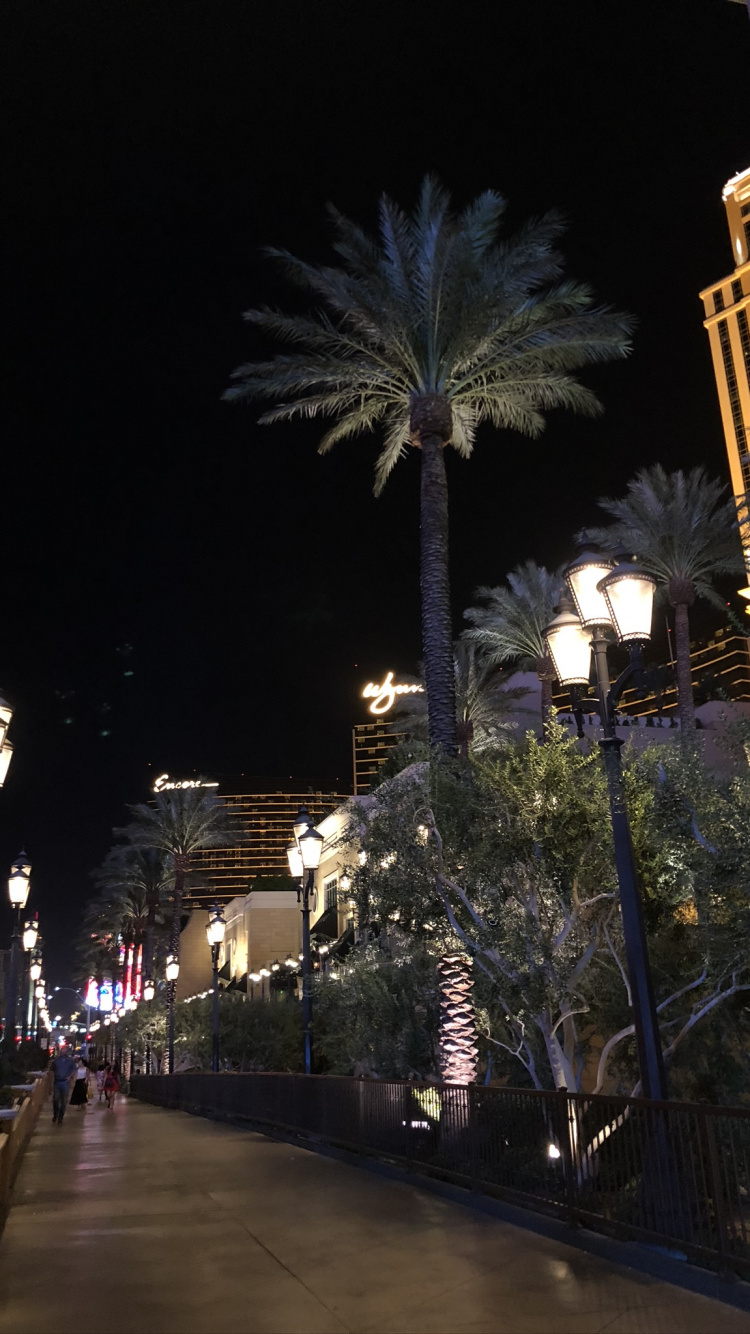 Обои Лас Вегас, США, ночь, дорожное покрытие, уличный фонарь в разрешении 750x1334