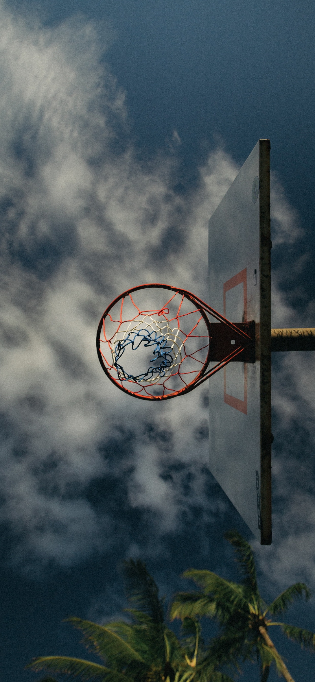 Обои облако, дерево, кучевое облако, круг, поле в разрешении 1242x2688