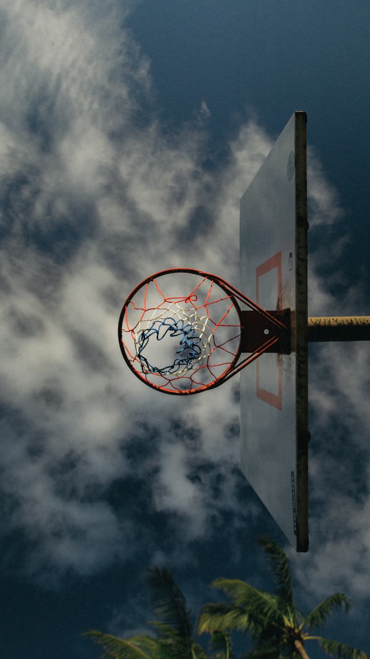 Обои облако, дерево, кучевое облако, круг, поле в разрешении 750x1334