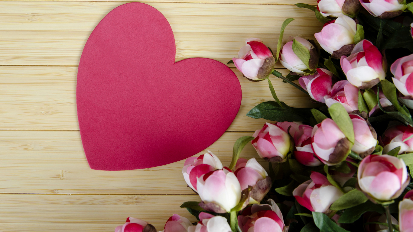 Обои пион, цветок, сердце, лепесток, розовый в разрешении 1366x768