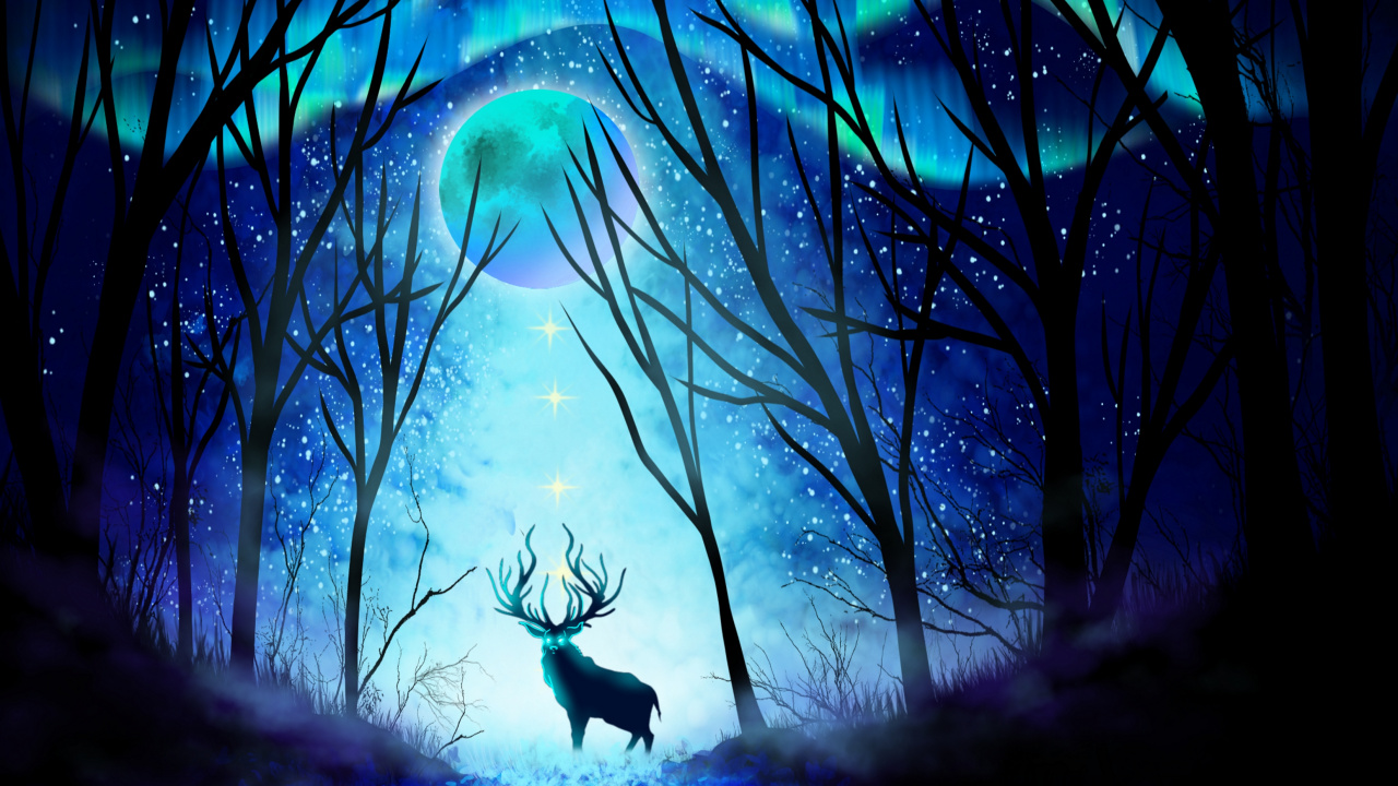 Обои ночь, синий, свет, природа, темнота в разрешении 1280x720