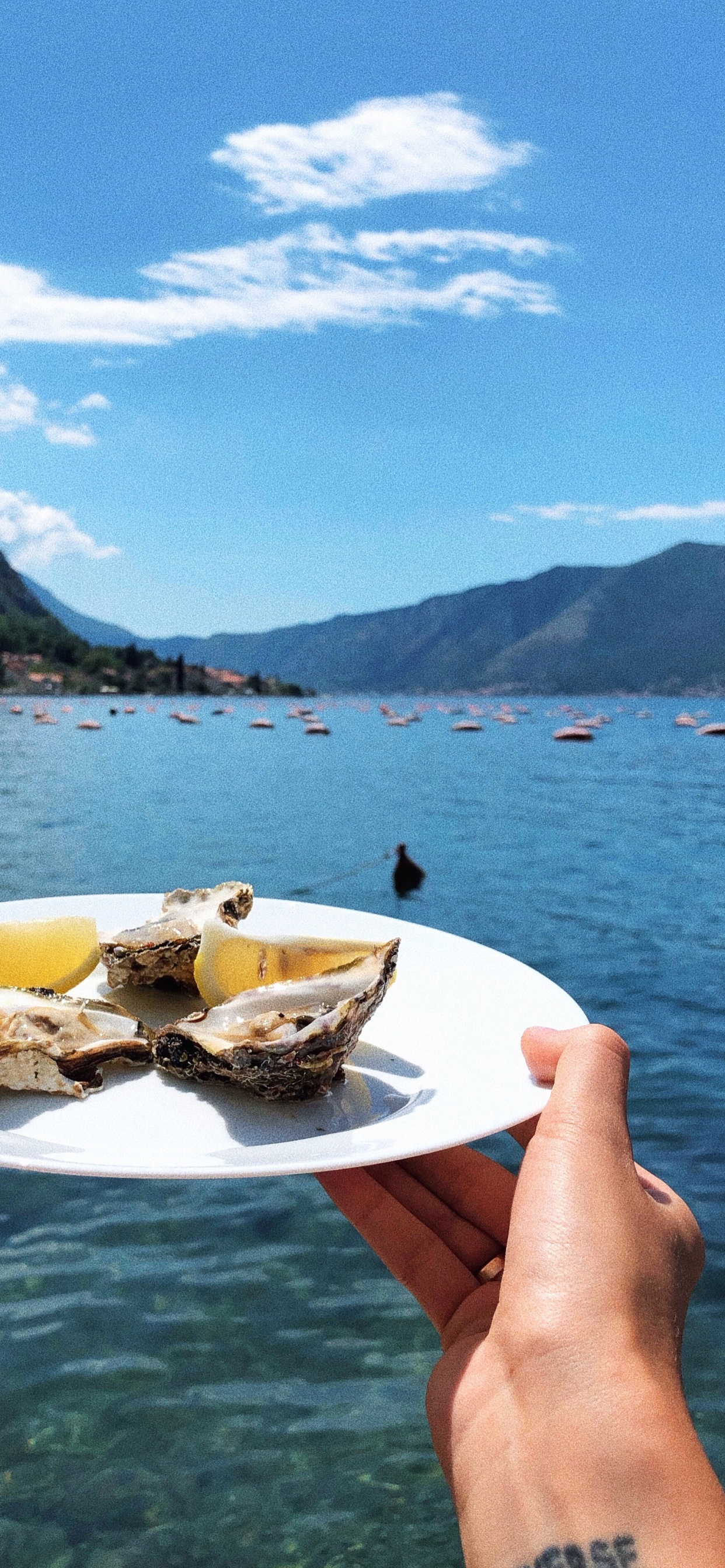 Обои вода, перевозка воды, фьорд, лодка, озерный край в разрешении 1242x2688