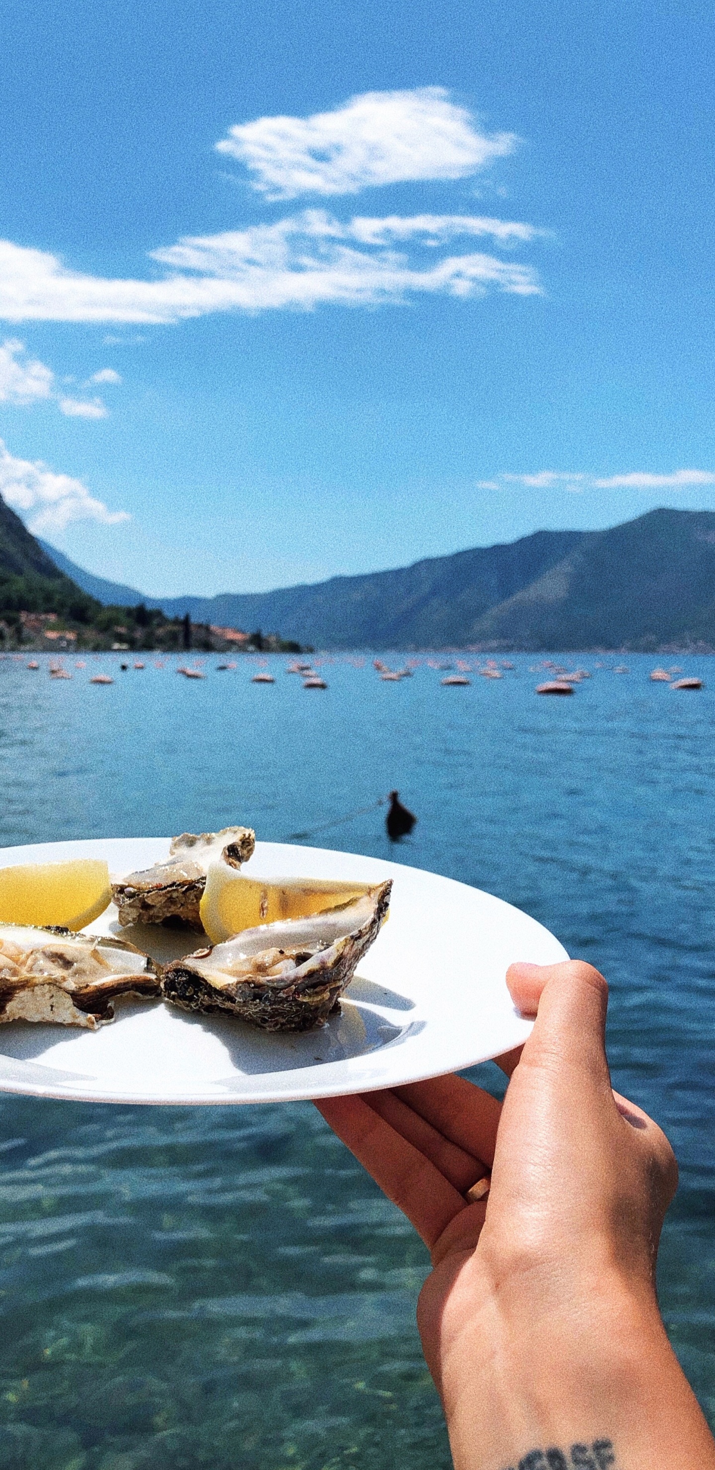 Обои вода, перевозка воды, фьорд, лодка, озерный край в разрешении 1440x2960