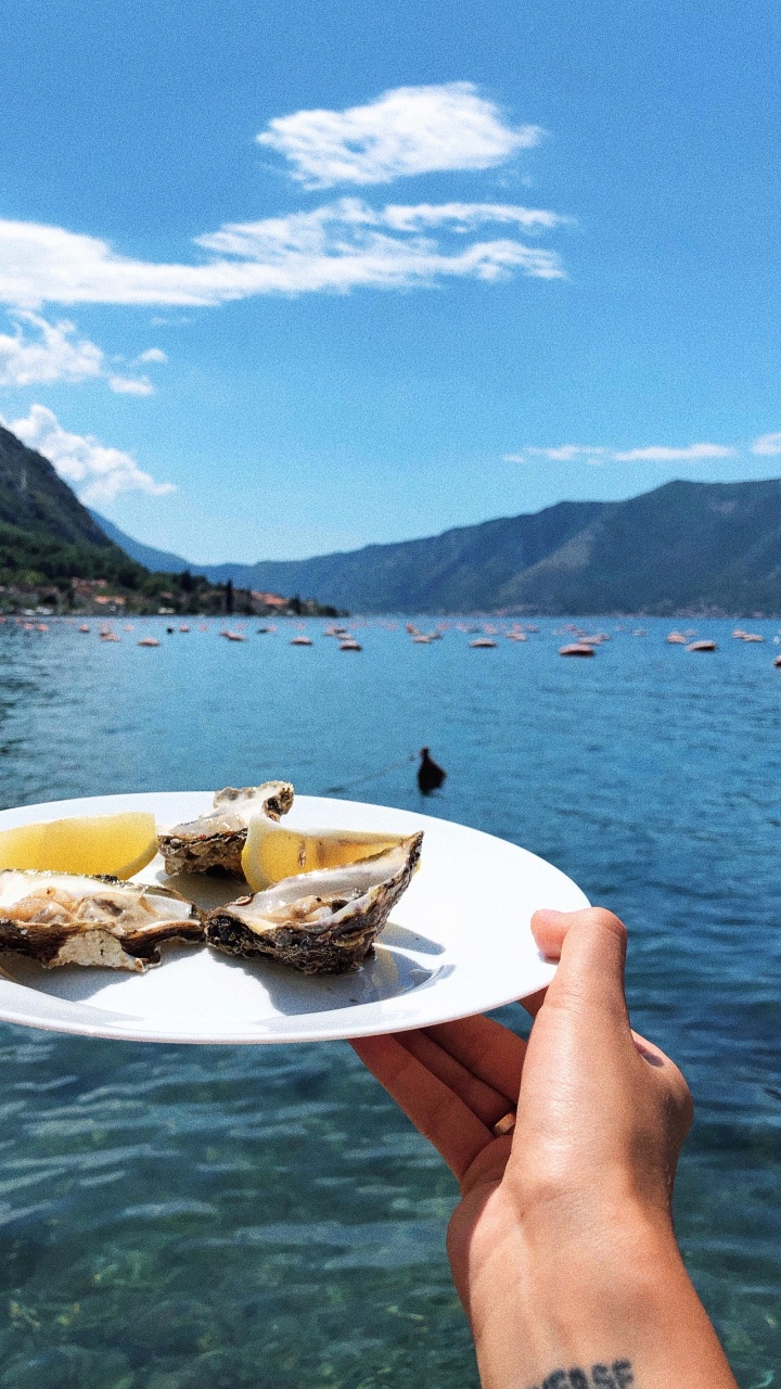 Обои вода, перевозка воды, фьорд, лодка, озерный край в разрешении 720x1280