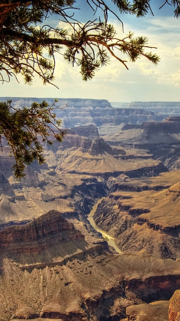 Обои каньон, национальный парк, бесплодные земли, формирование, дикая местность в разрешении 750x1334