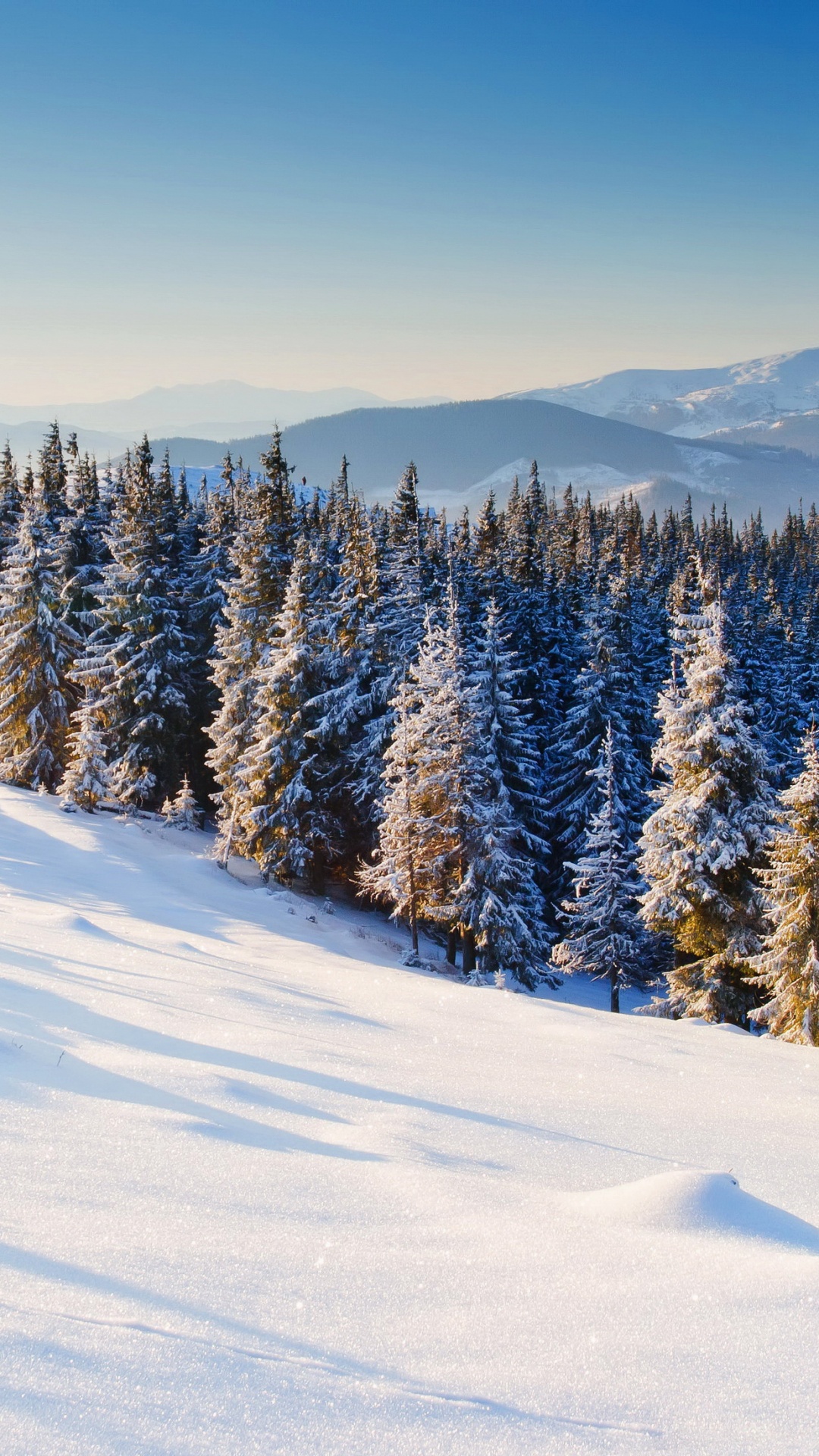 Обои зима, снег, горный рельеф, дерево, дикая местность в разрешении 1080x1920