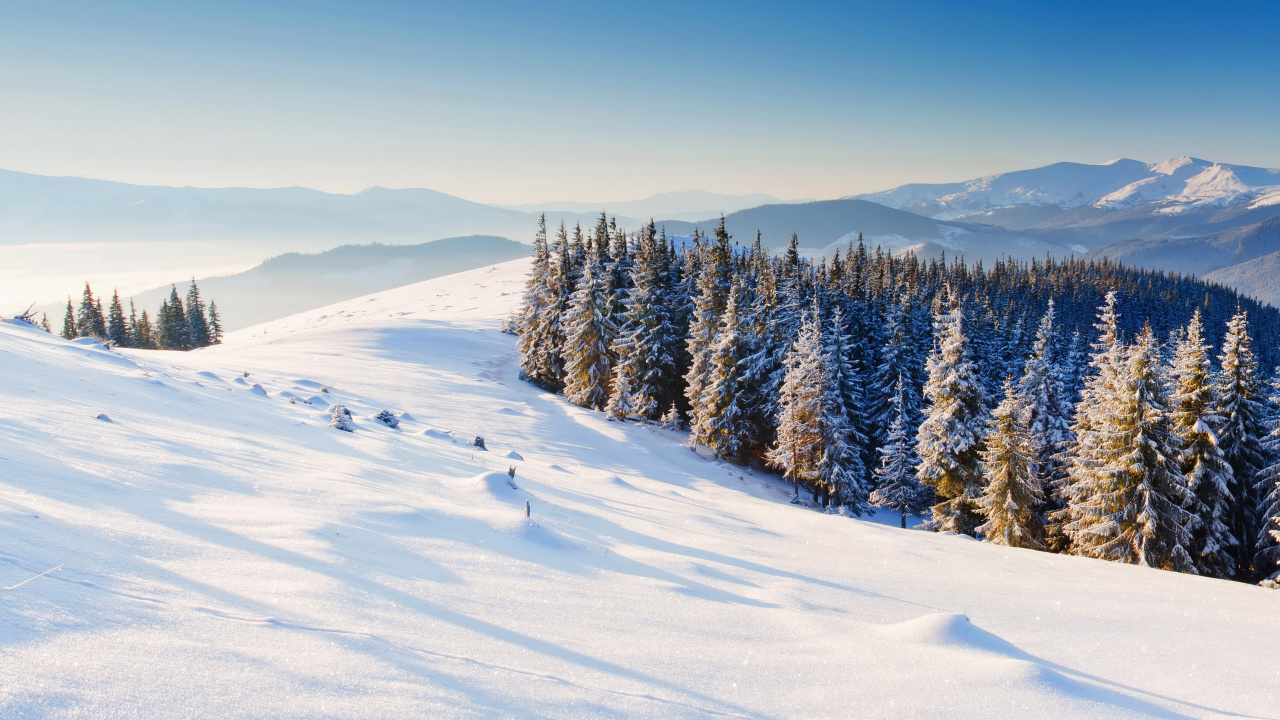 Обои зима, снег, горный рельеф, дерево, дикая местность в разрешении 1280x720