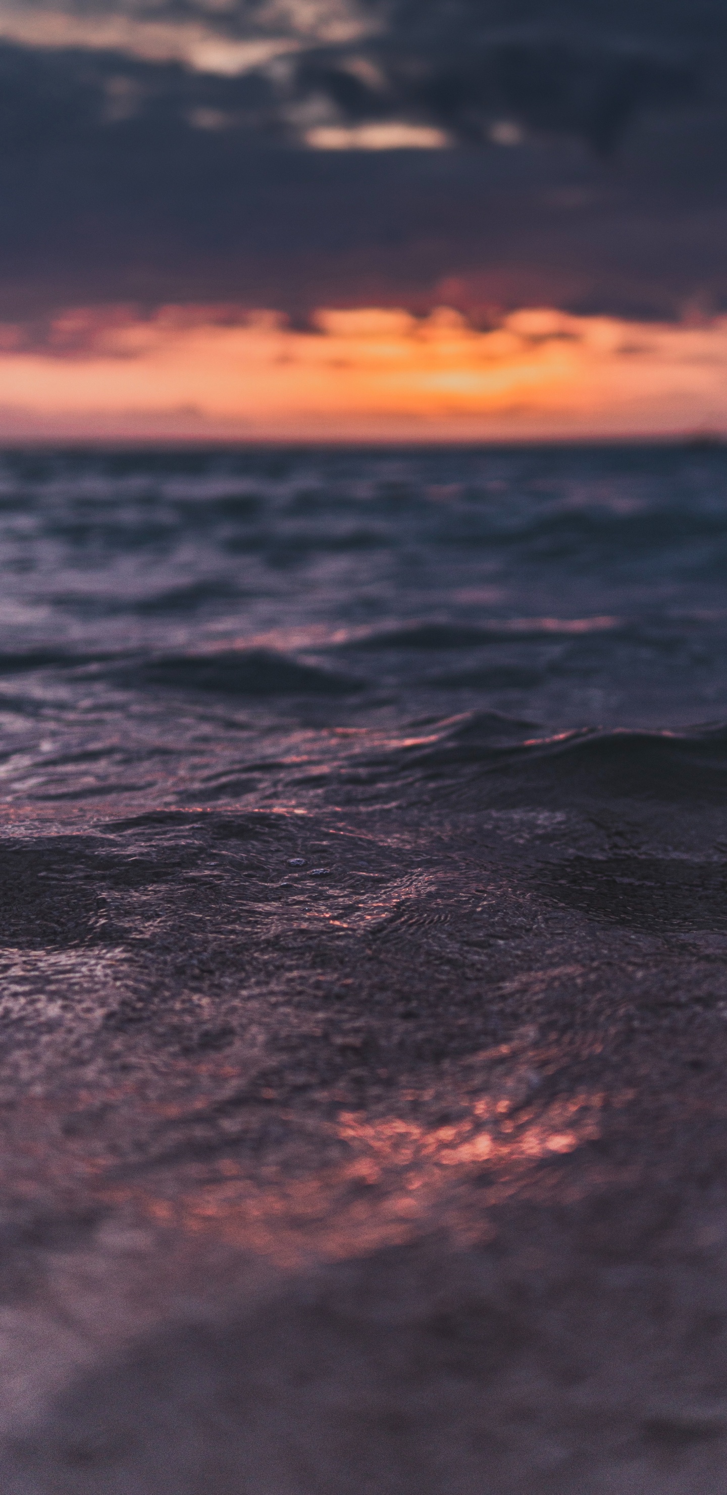 Обои водоем, горизонт, облако, закат, небо в разрешении 1440x2960