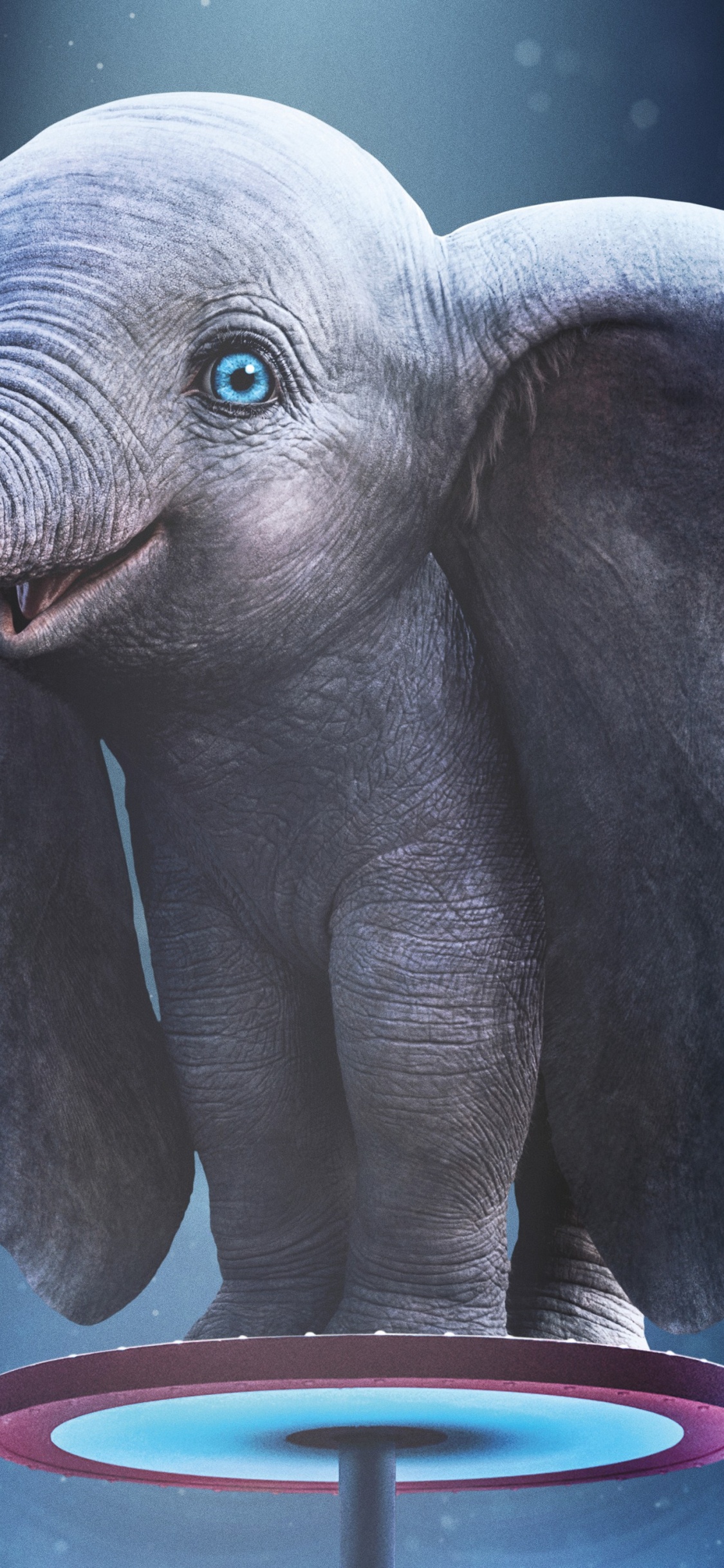 Обои 2019, Слон, слоны и мамонты, африканский слон, индийский слон в разрешении 1125x2436