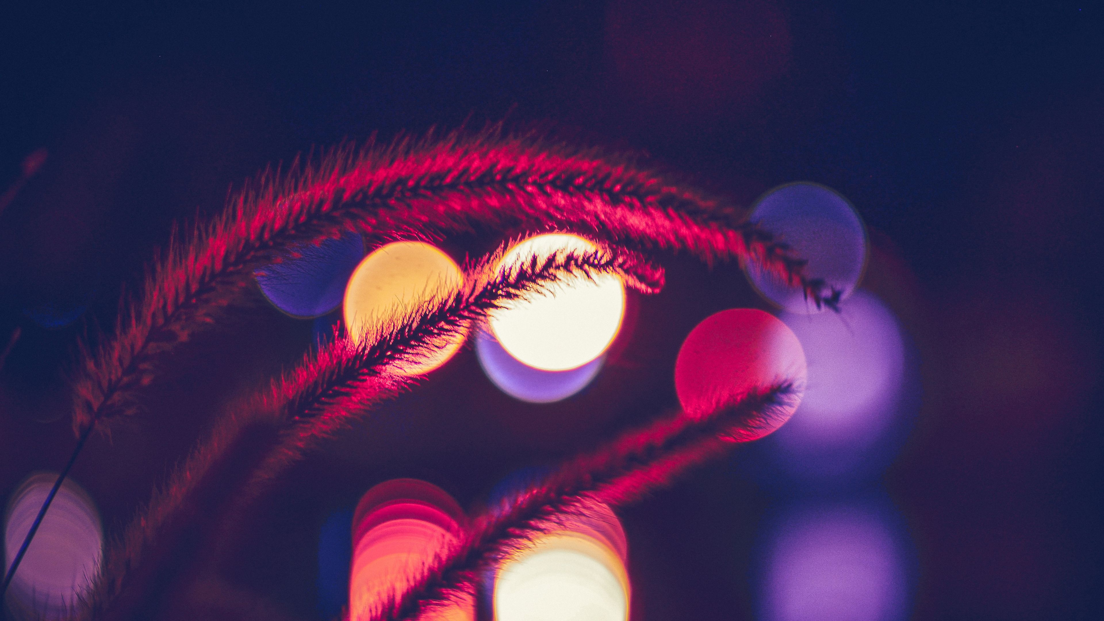 Обои боке, синий, красный цвет, свет, пурпур в разрешении 3840x2160