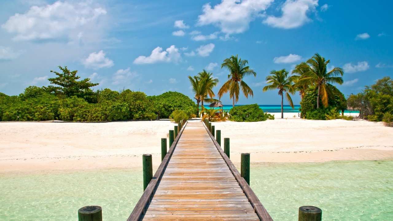 Обои док, море, тропическая зона, дерево, Карибский бассейн в разрешении 1280x720