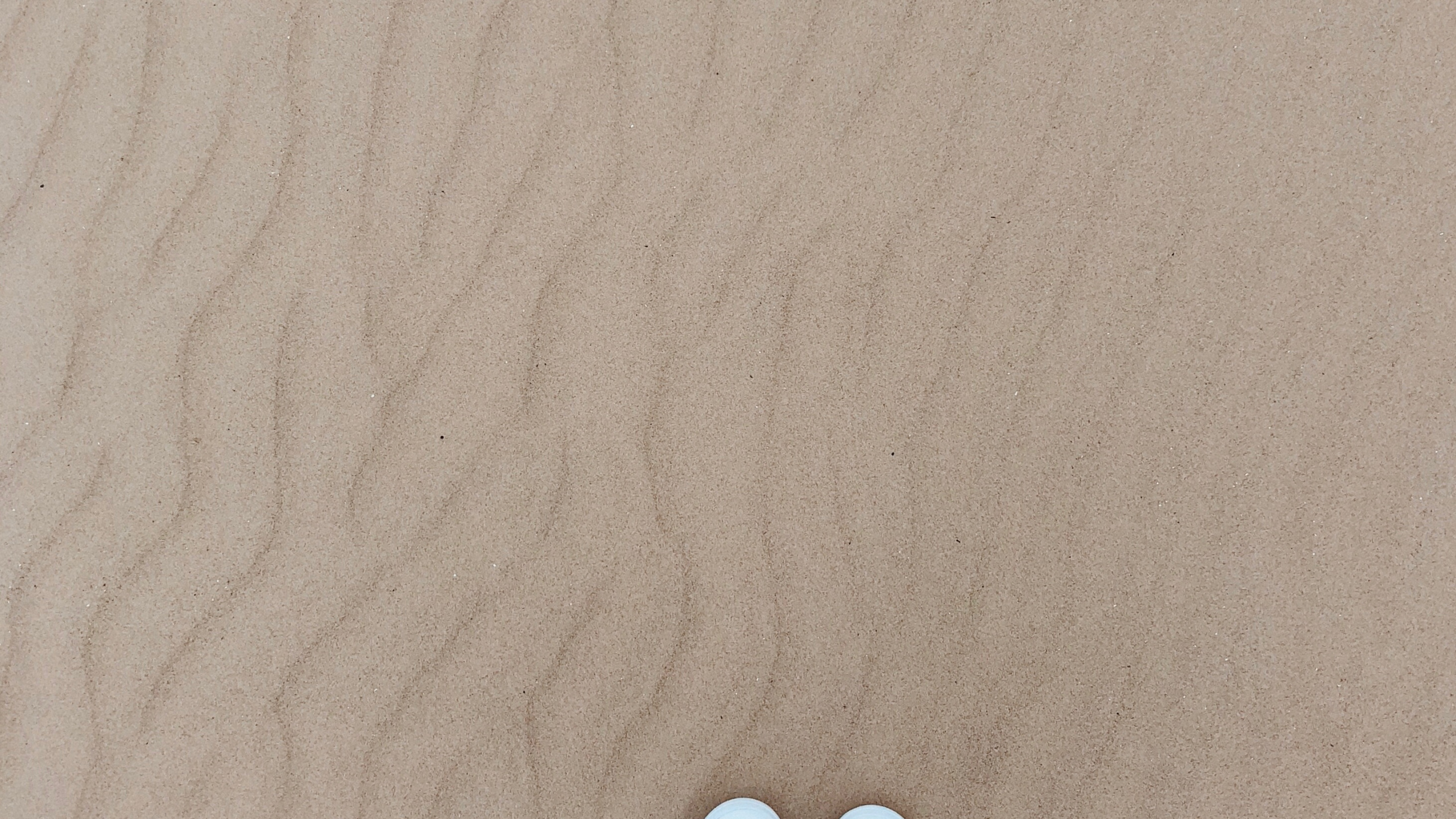 Обои песок, человек, нога, коричневый цвет, окружающая среда в разрешении 2560x1440