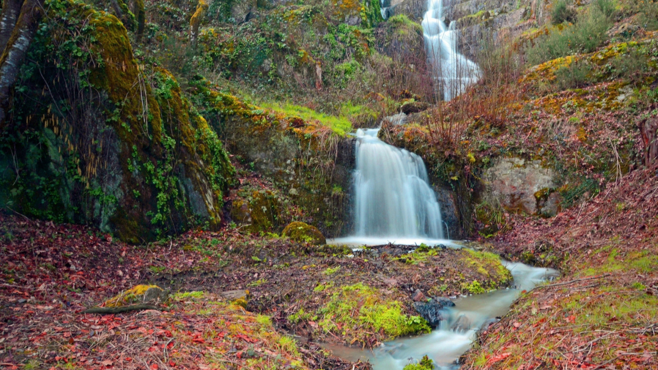 Обои водоем, природа, природный заповедник, водоток, вода в разрешении 1280x720